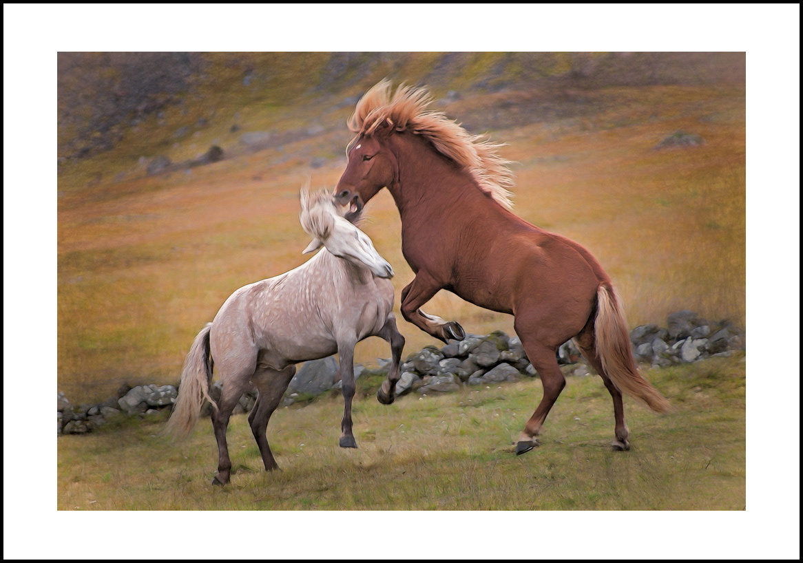 horses-4x6: 420
