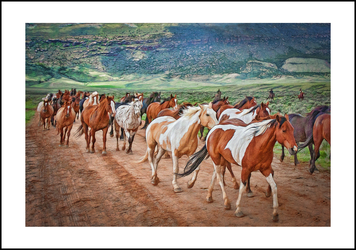 Horses-4x6: 220