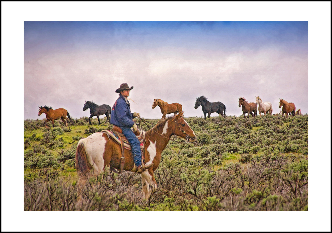 horses-4x6: 444