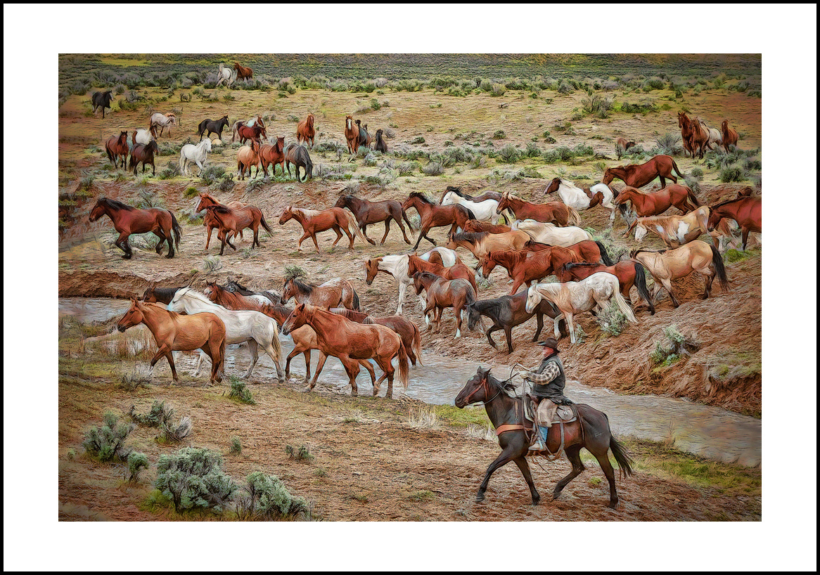 Horses-4x6: 212