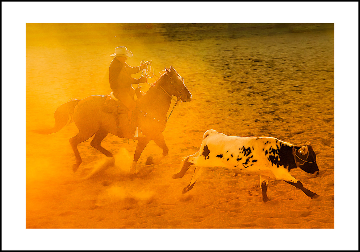 horses-4x6:-92