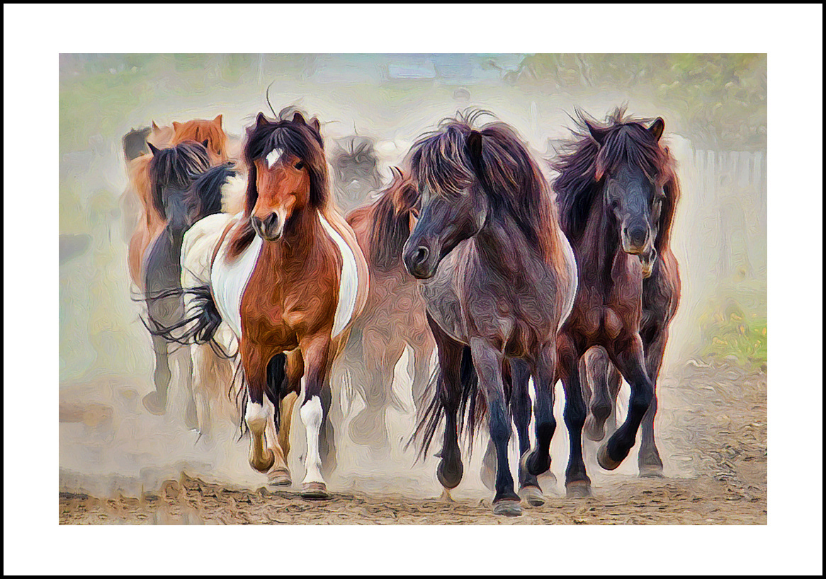 Horses-4x6: 205