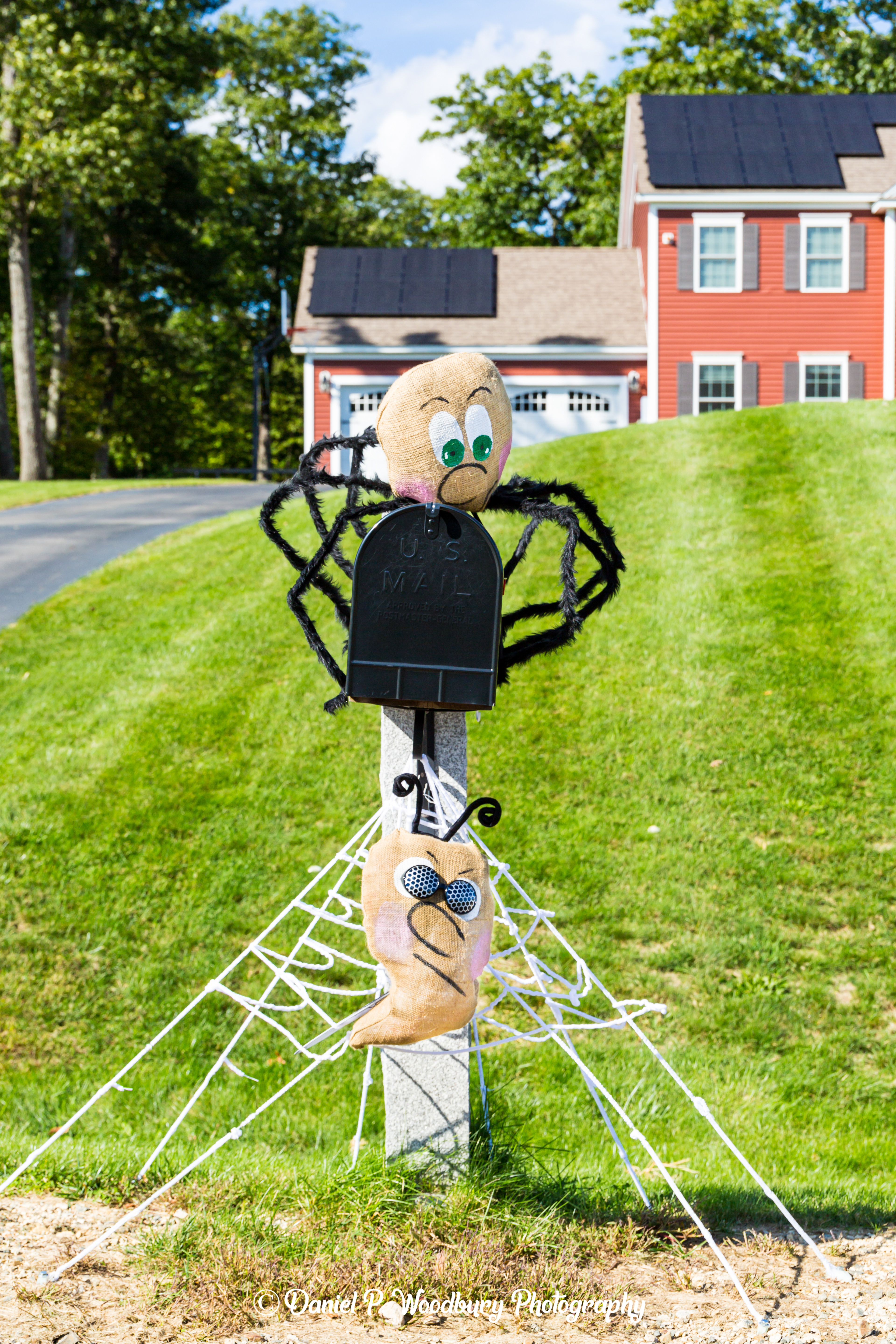 Hungry Spider Scarecrows
