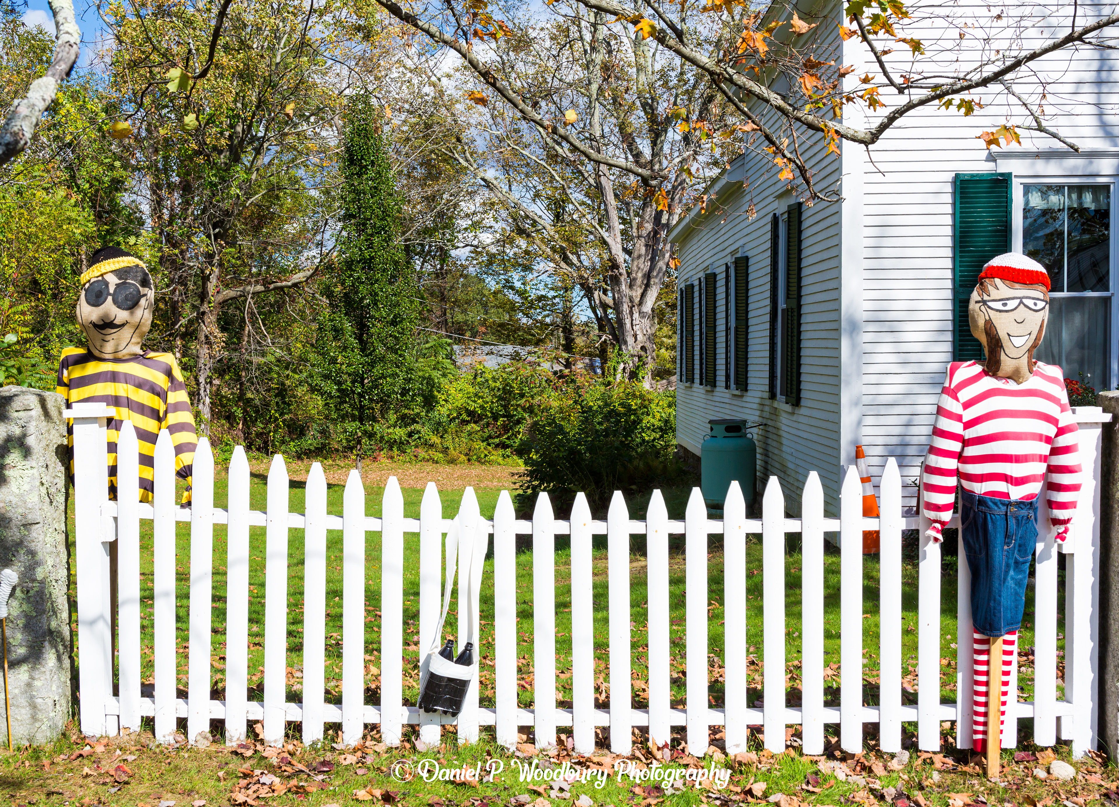 Where's Waldo Scarecrows