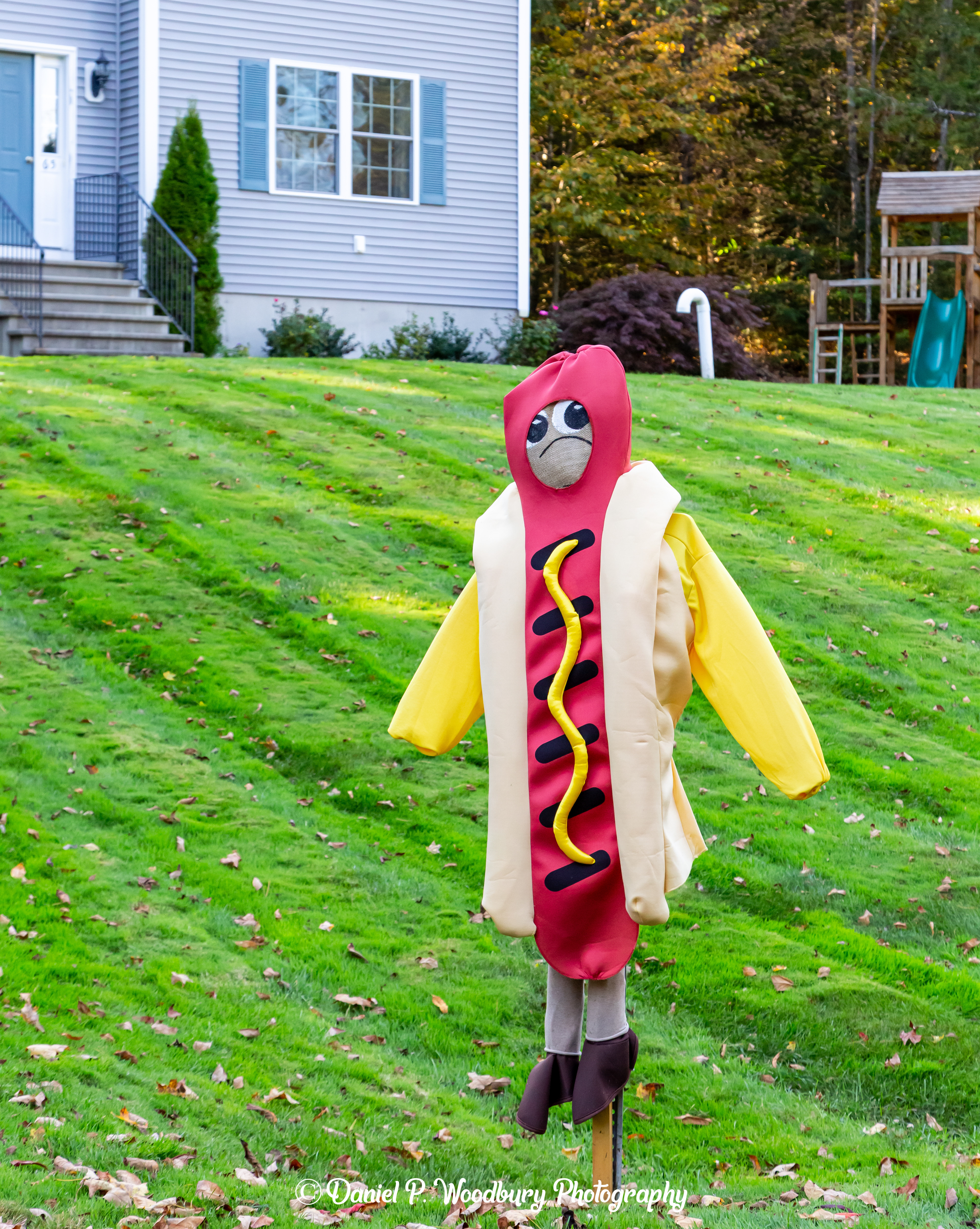 Hot Dog Scarecrow