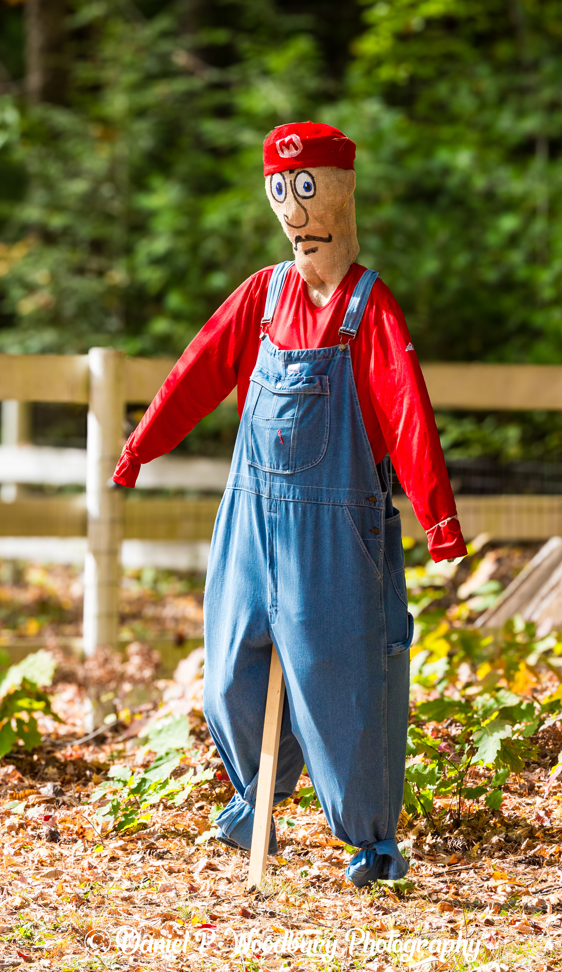 Mario Scarecrow