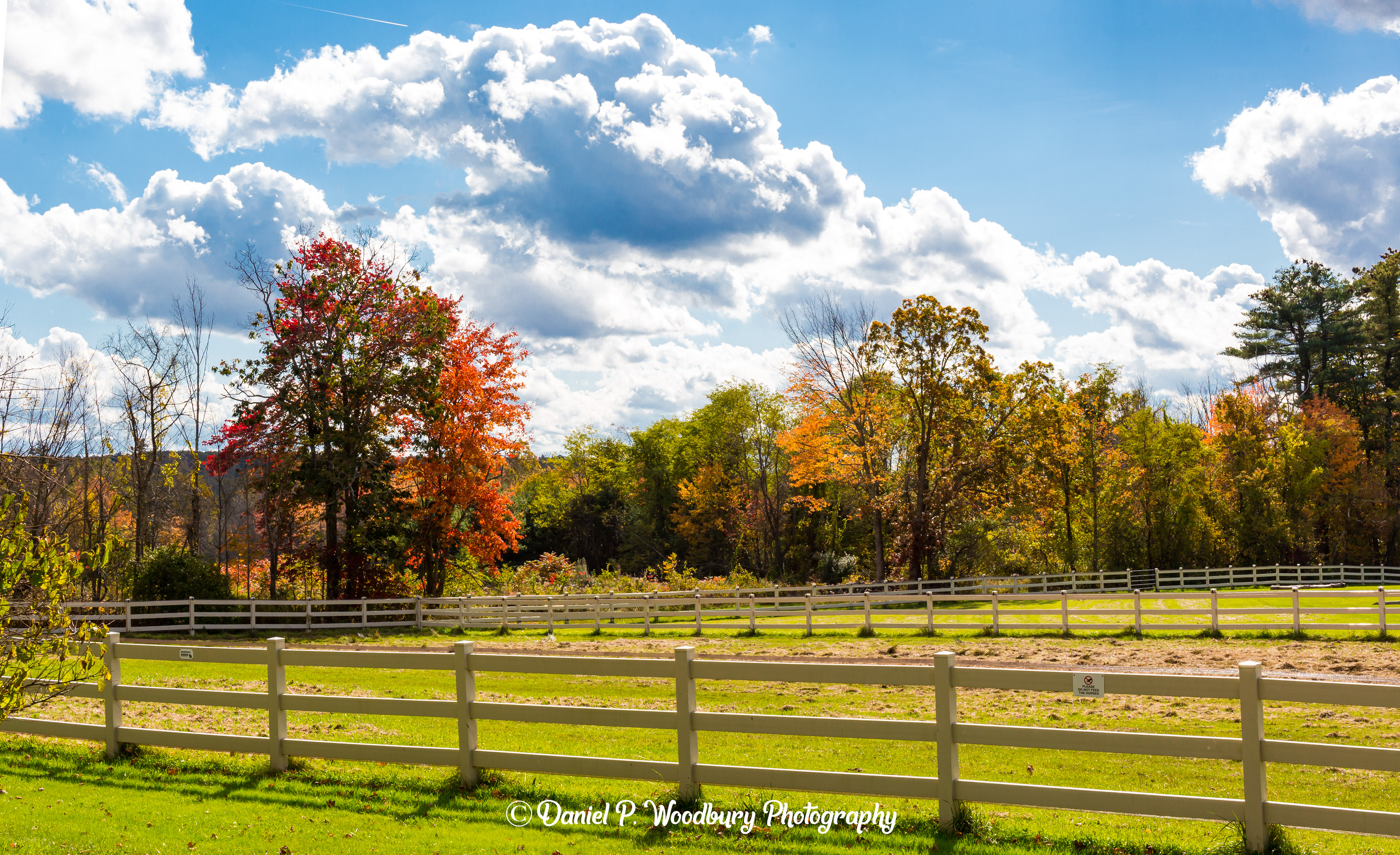 Autumn In Bedford, NH