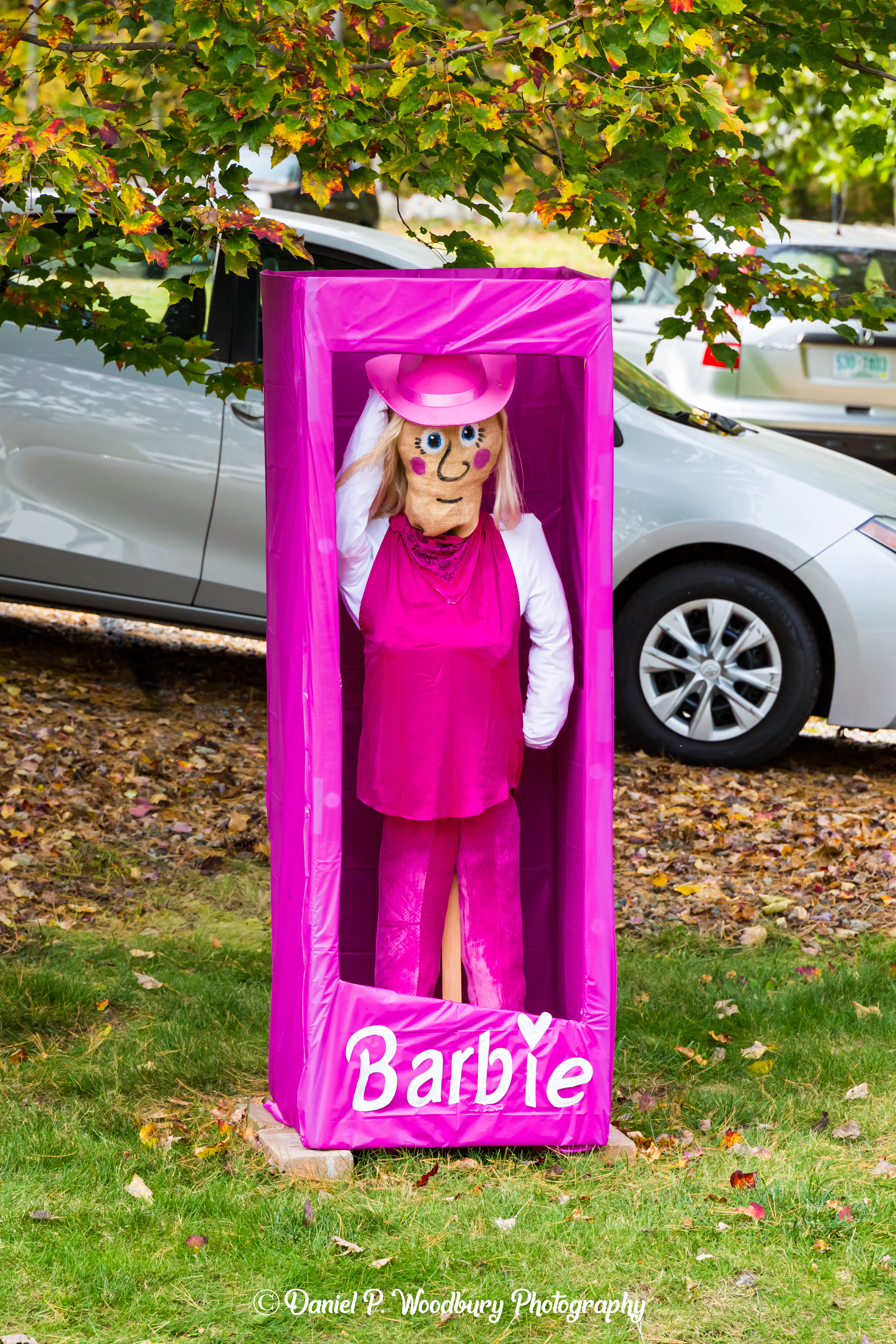 New In Box Barbie Scarecrow