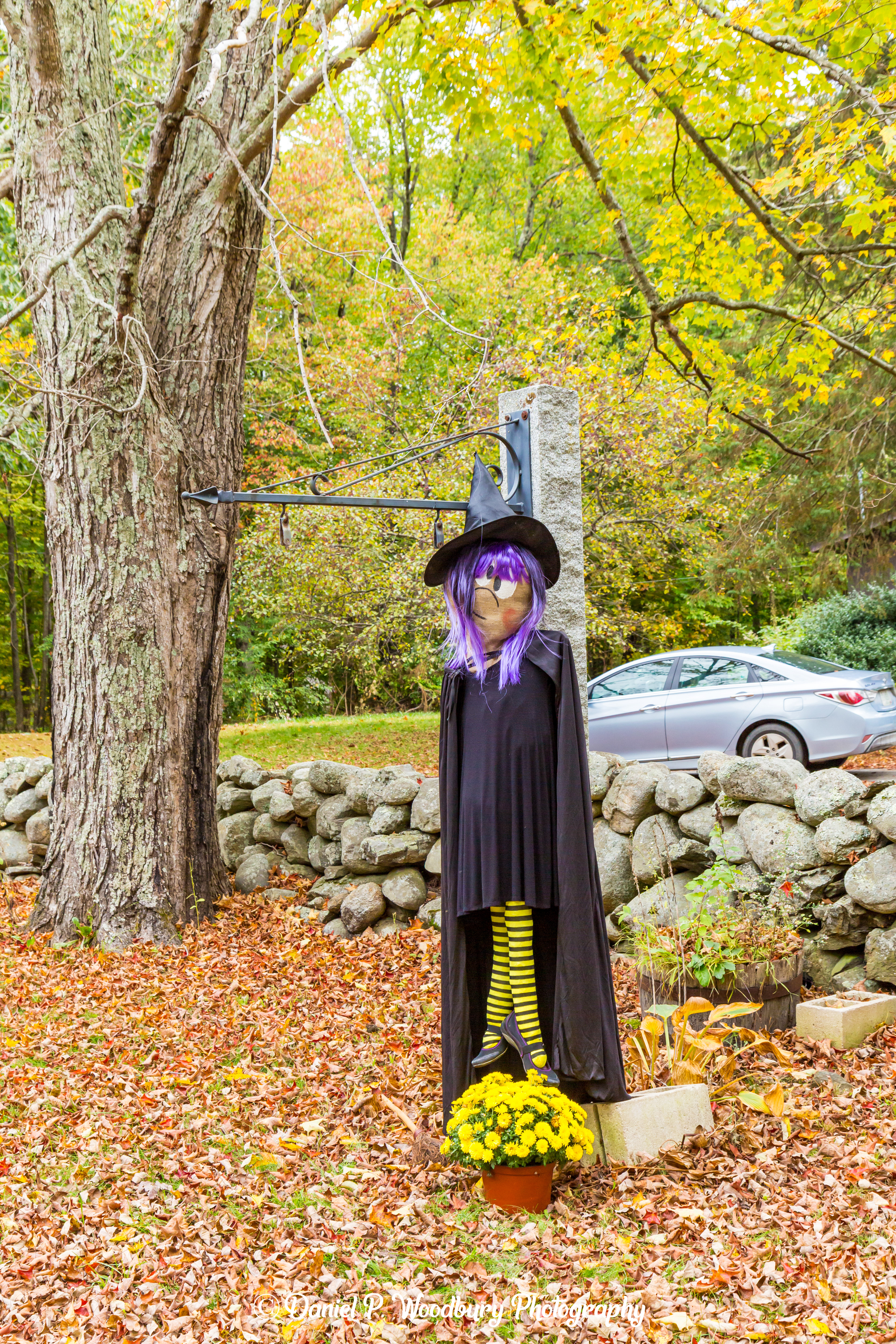 Witch Scarecrow