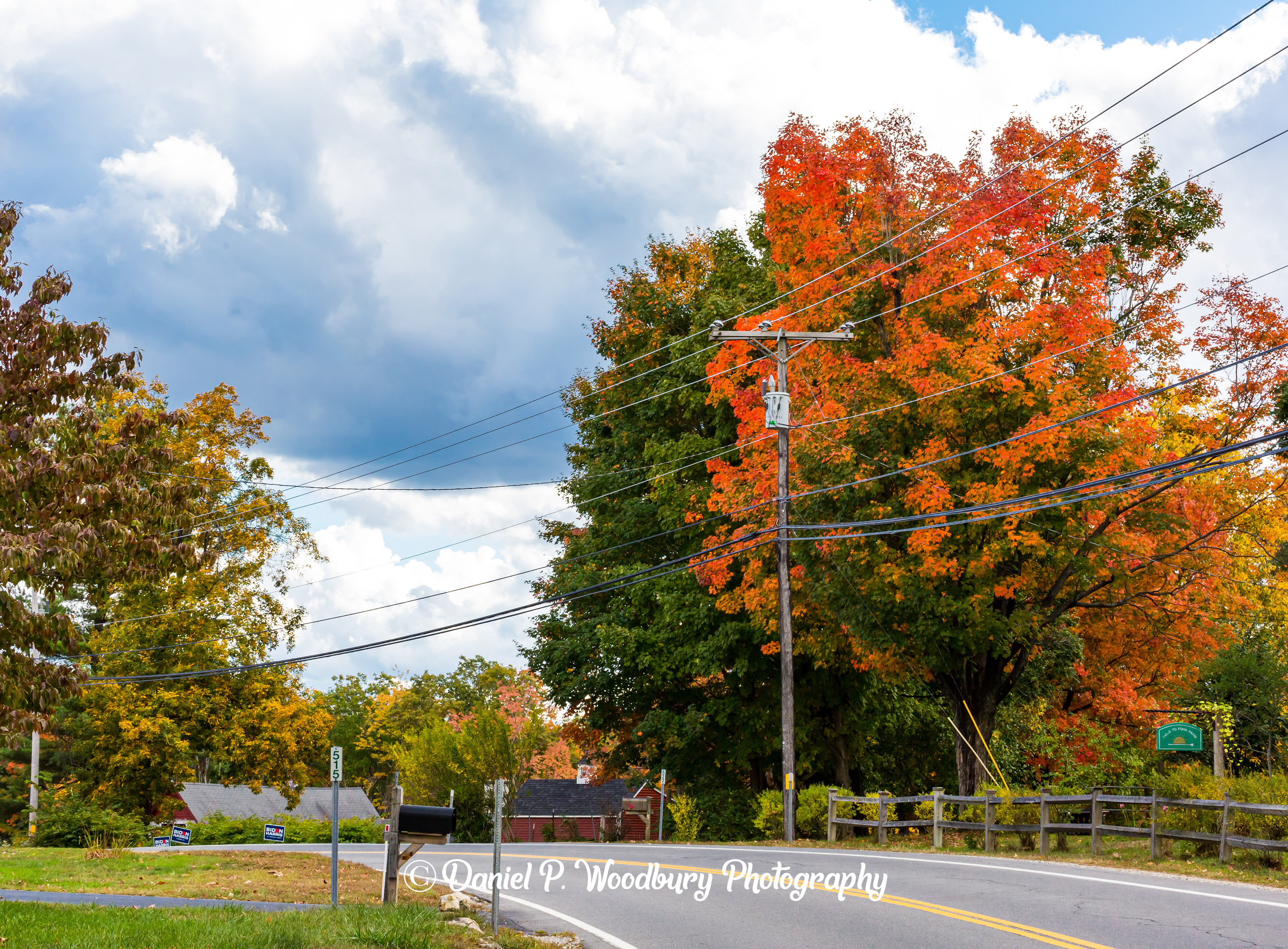 Chester, NH Foliage