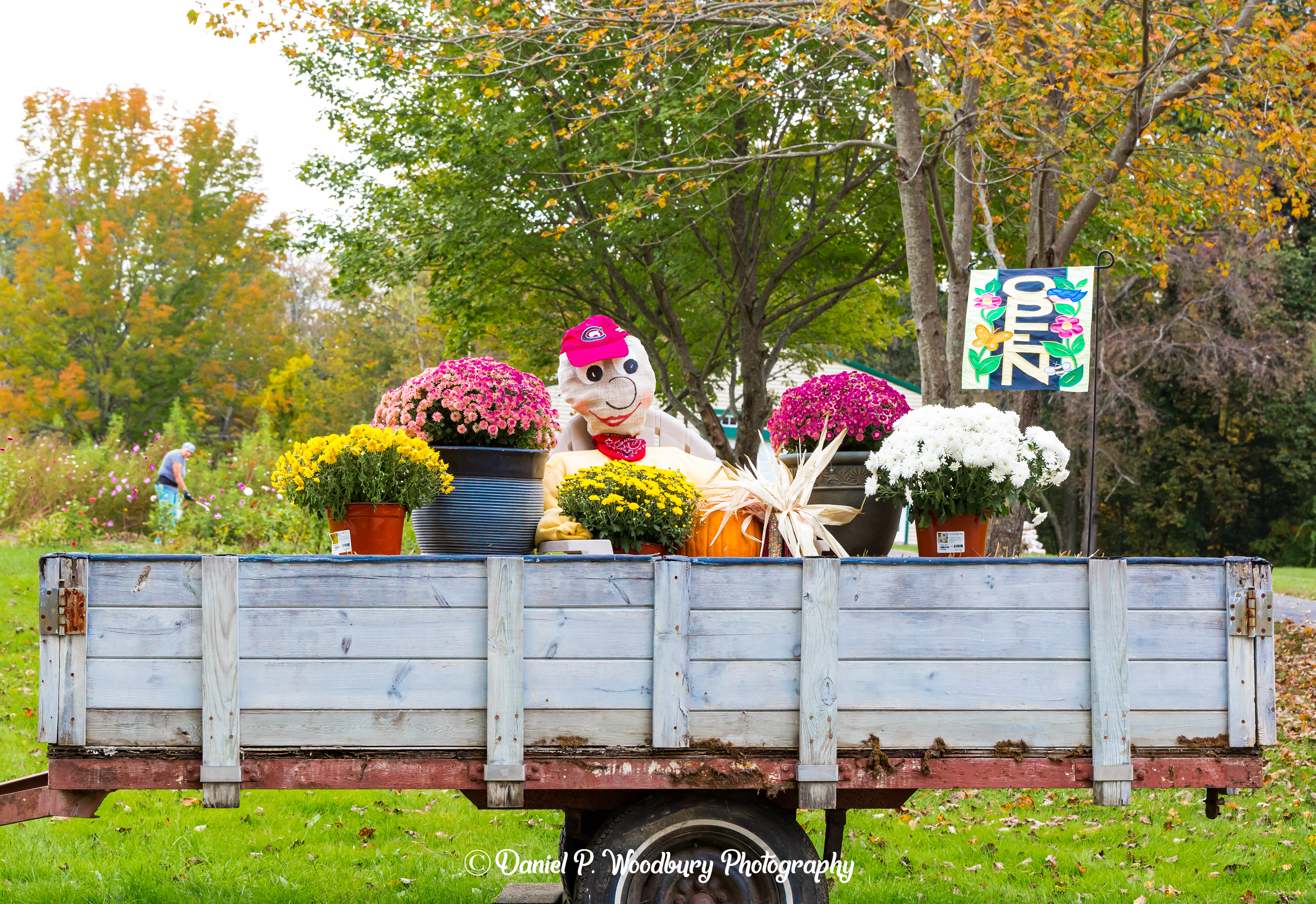 Flower Sellin' Scarecrow