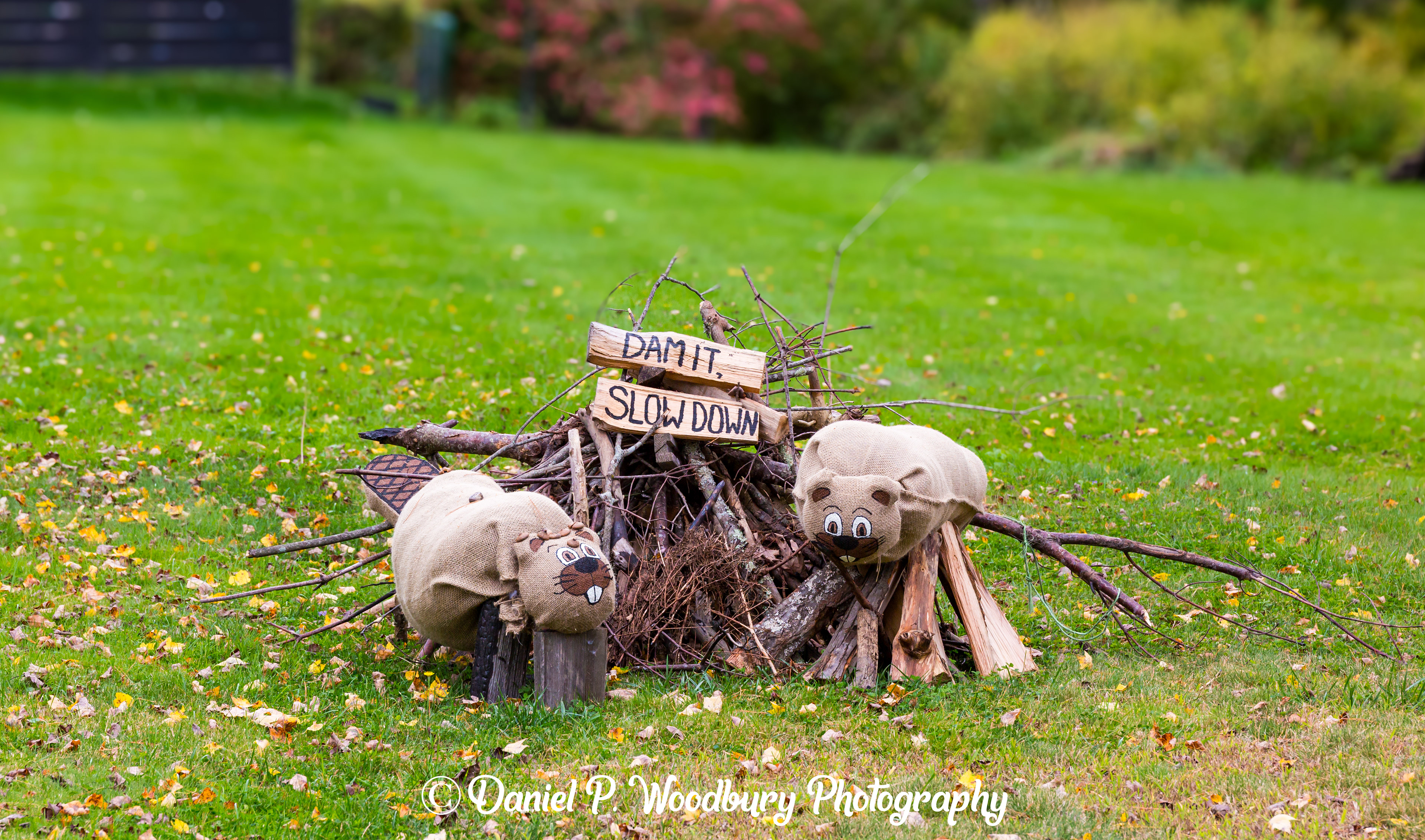 Protestin' Beaver Scarecrows