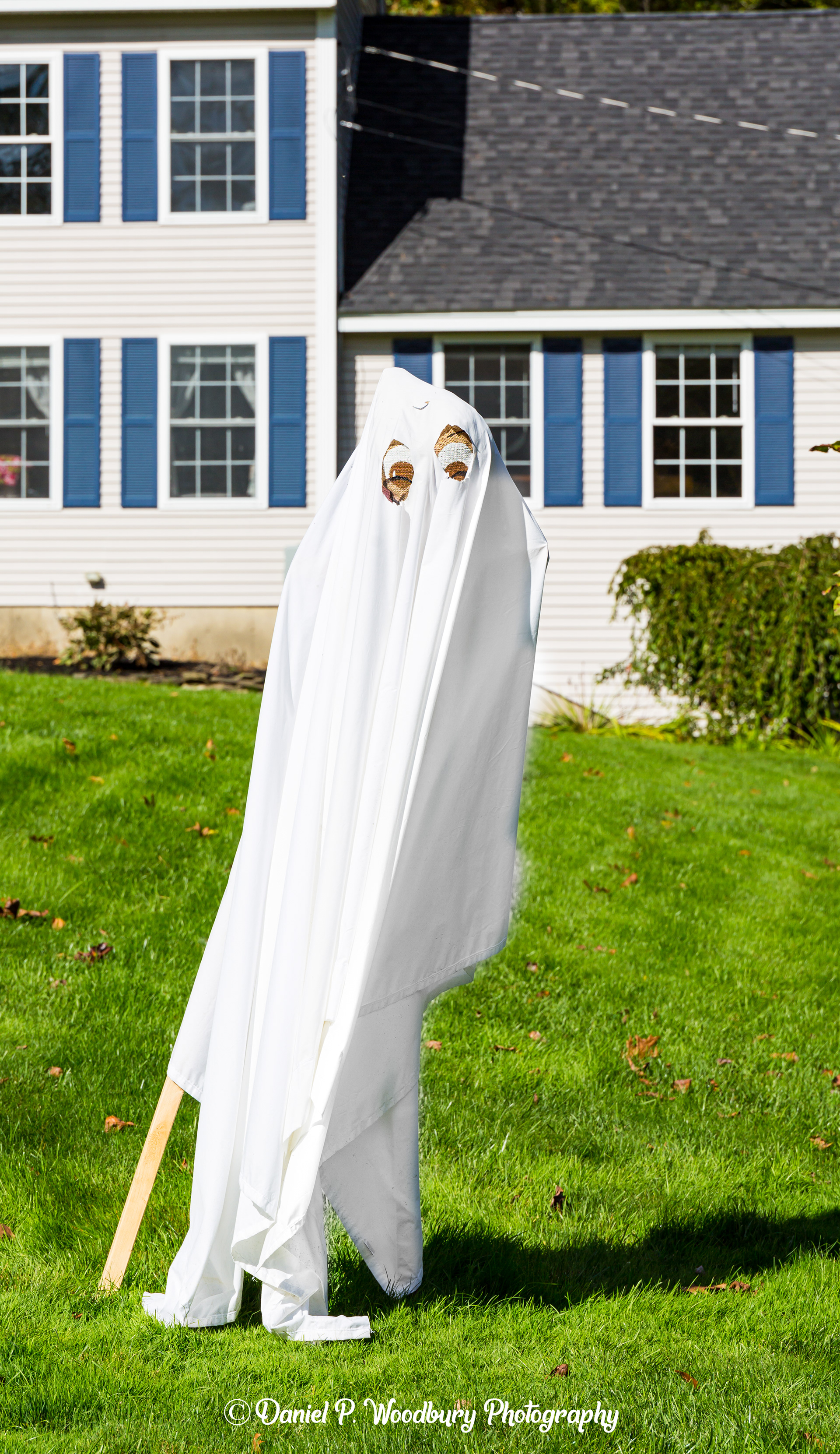 Ghost Scarecrow