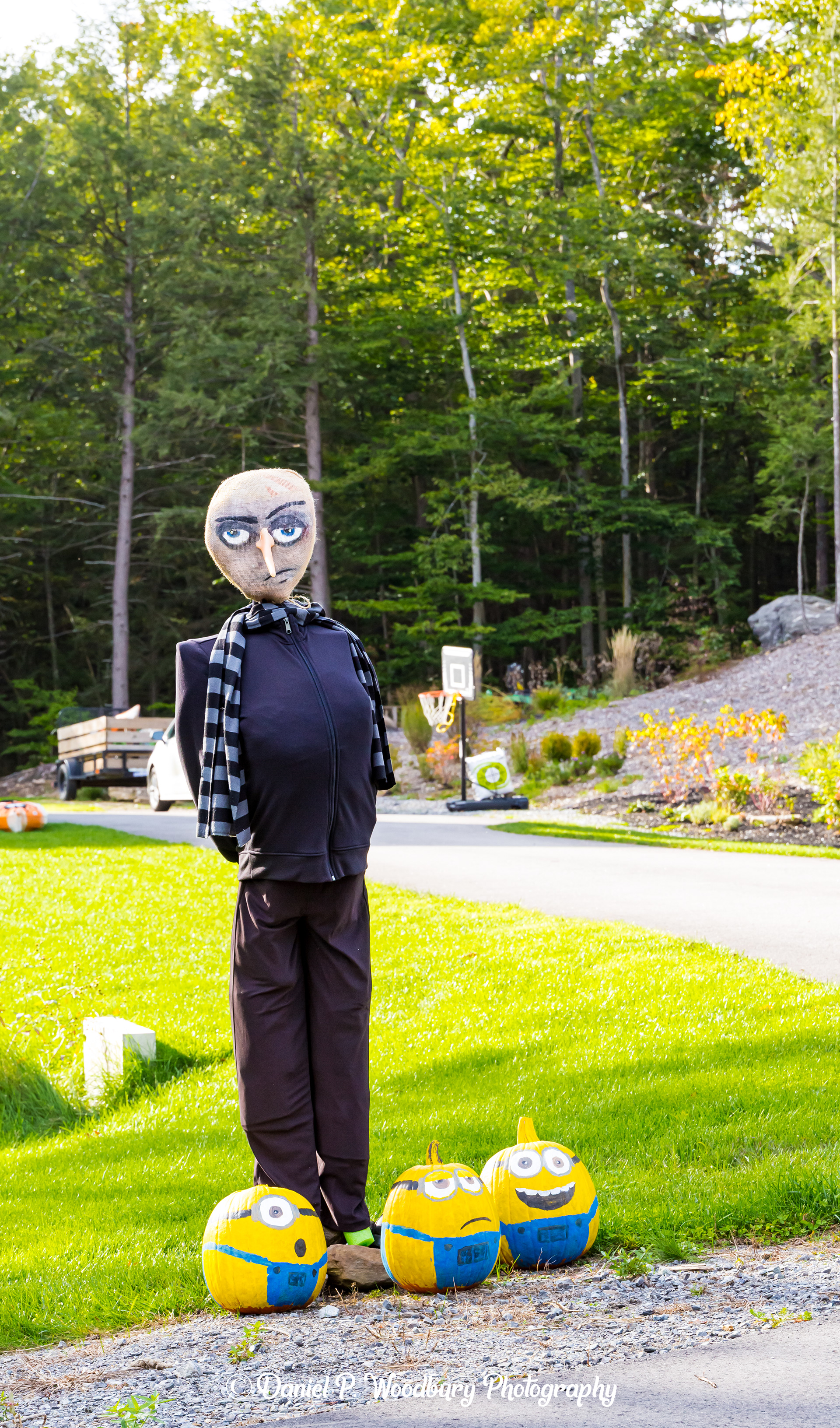 Gru & The Minions Scarecrow