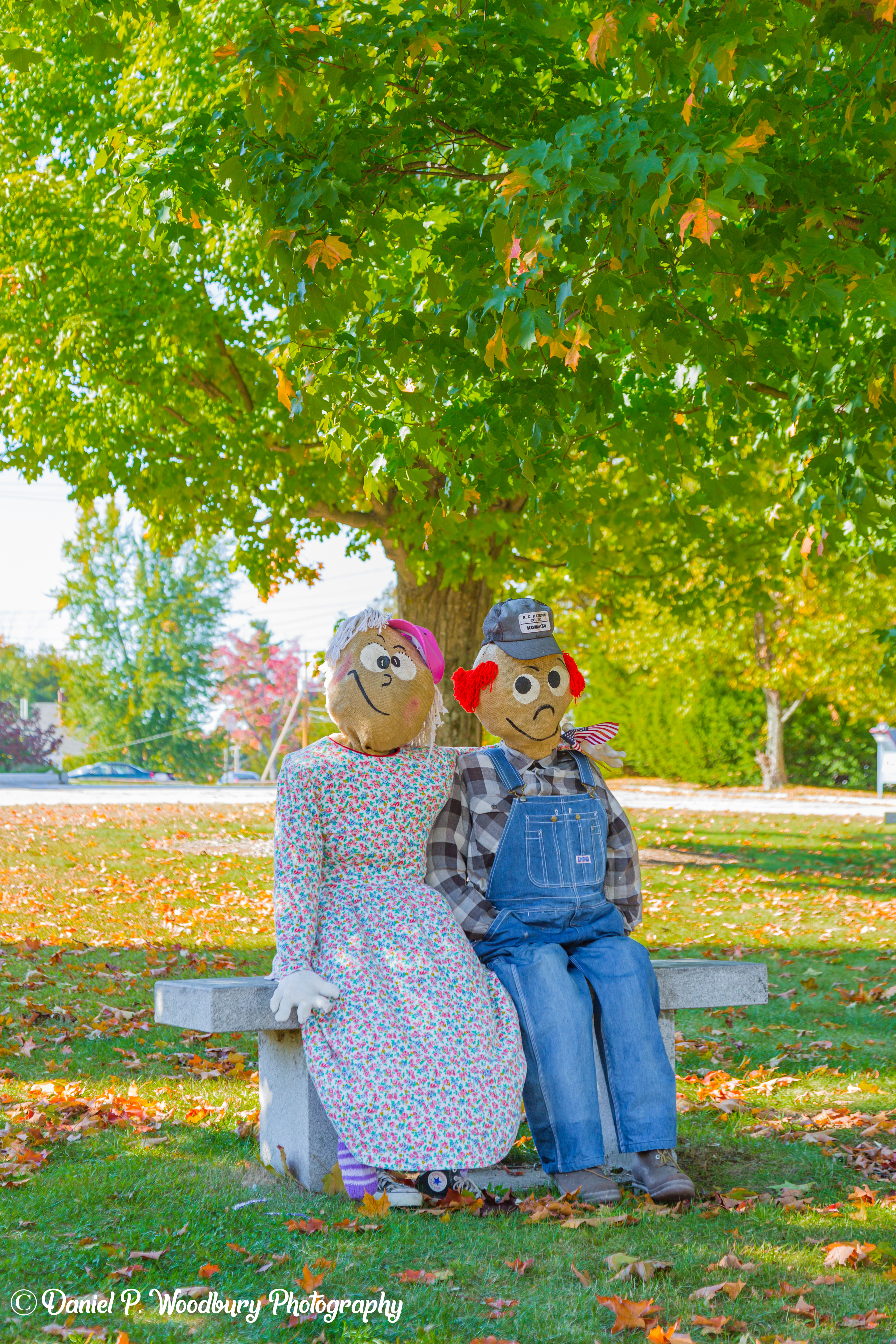 Couple Scarecrows