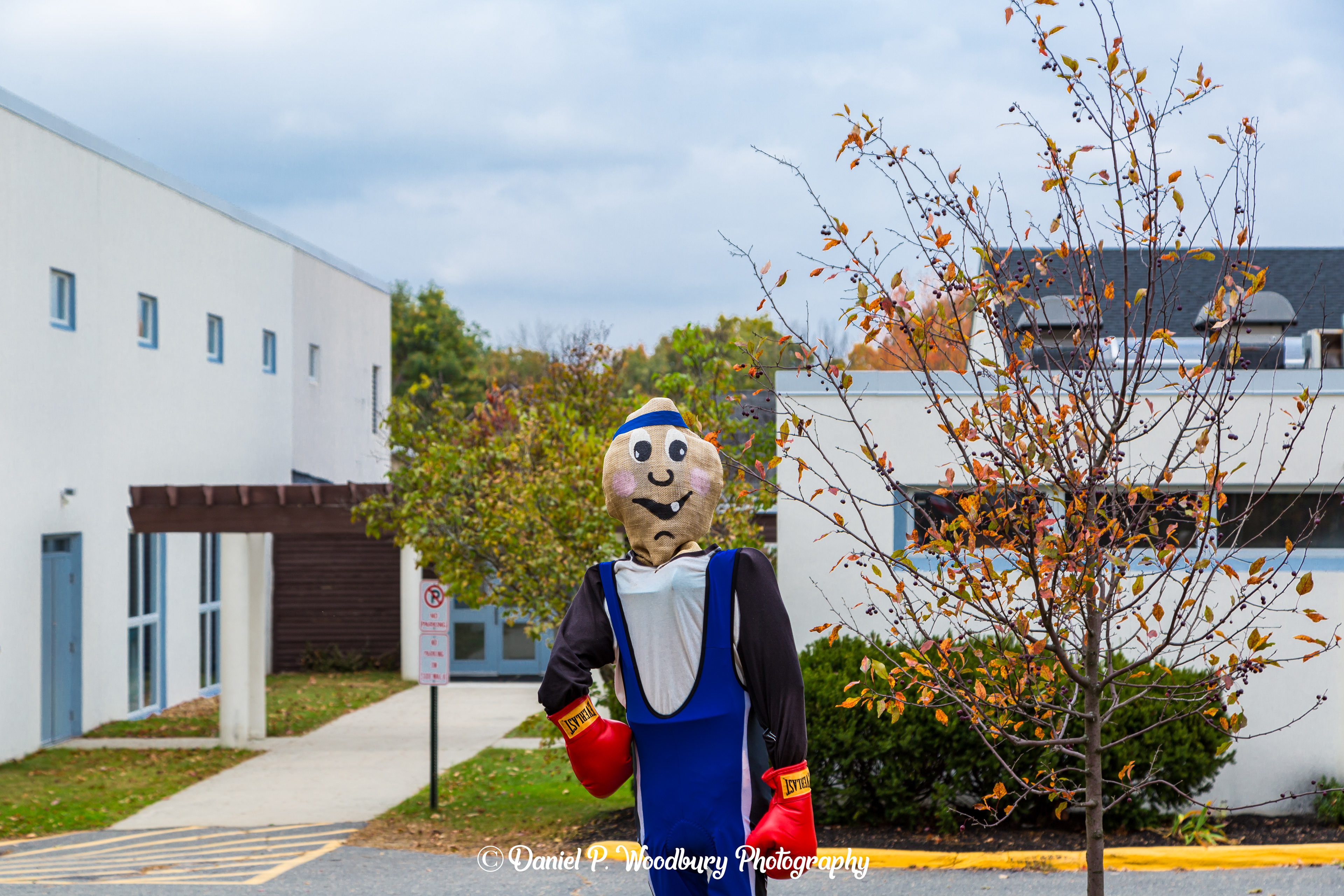 Boxin' Scarecrow