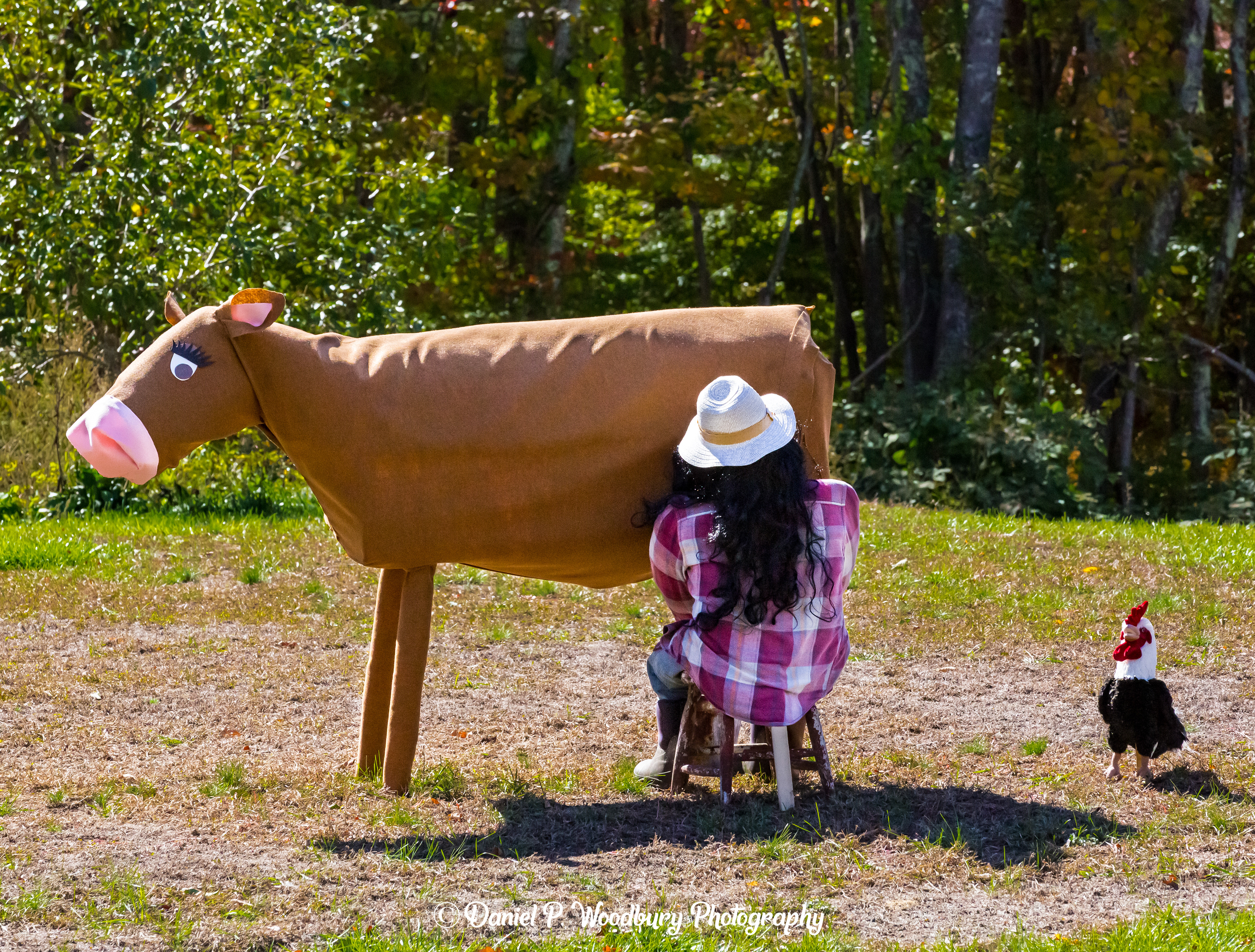 Cow Milkin' Scarecrow