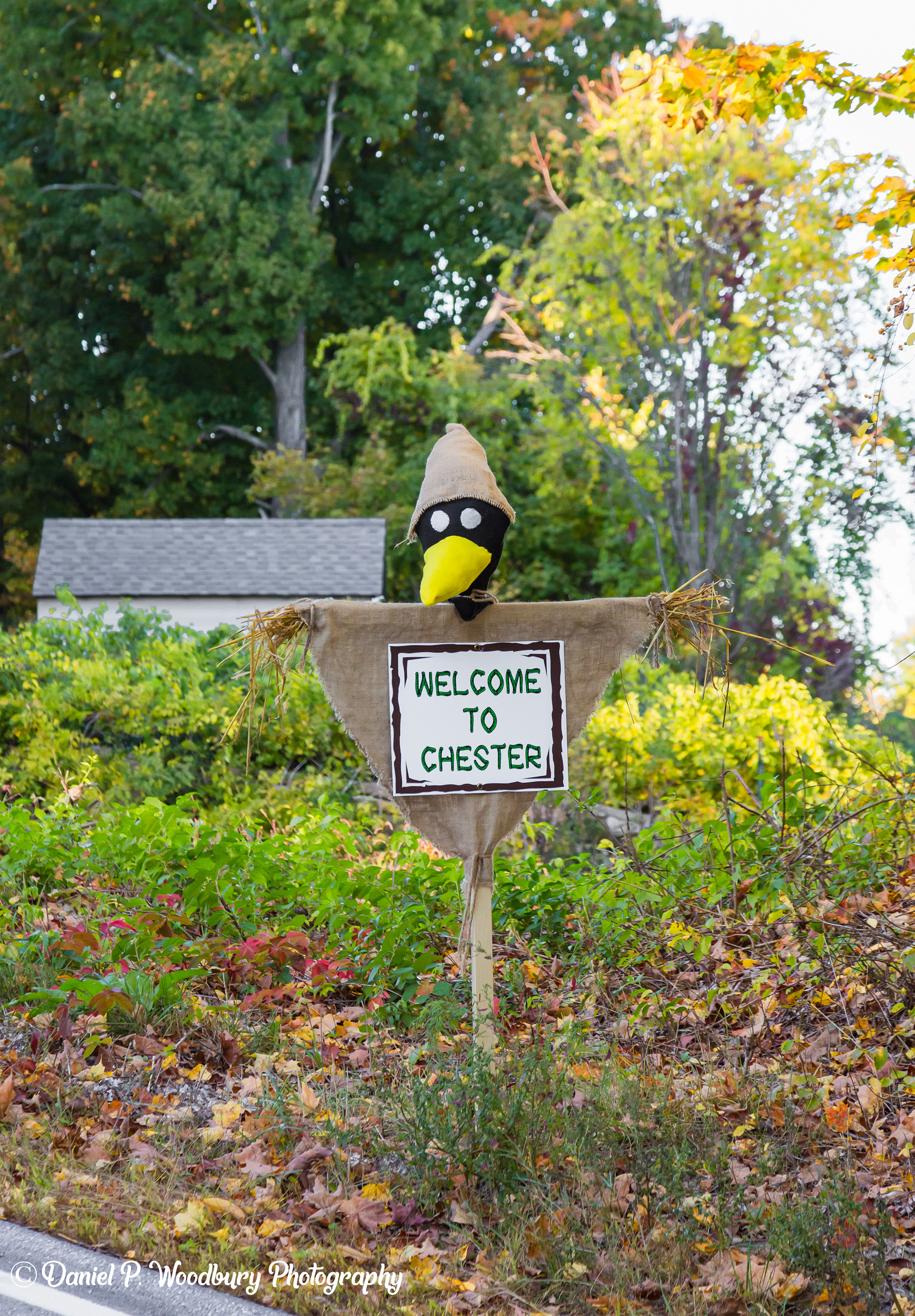 Crow Scarecrow
