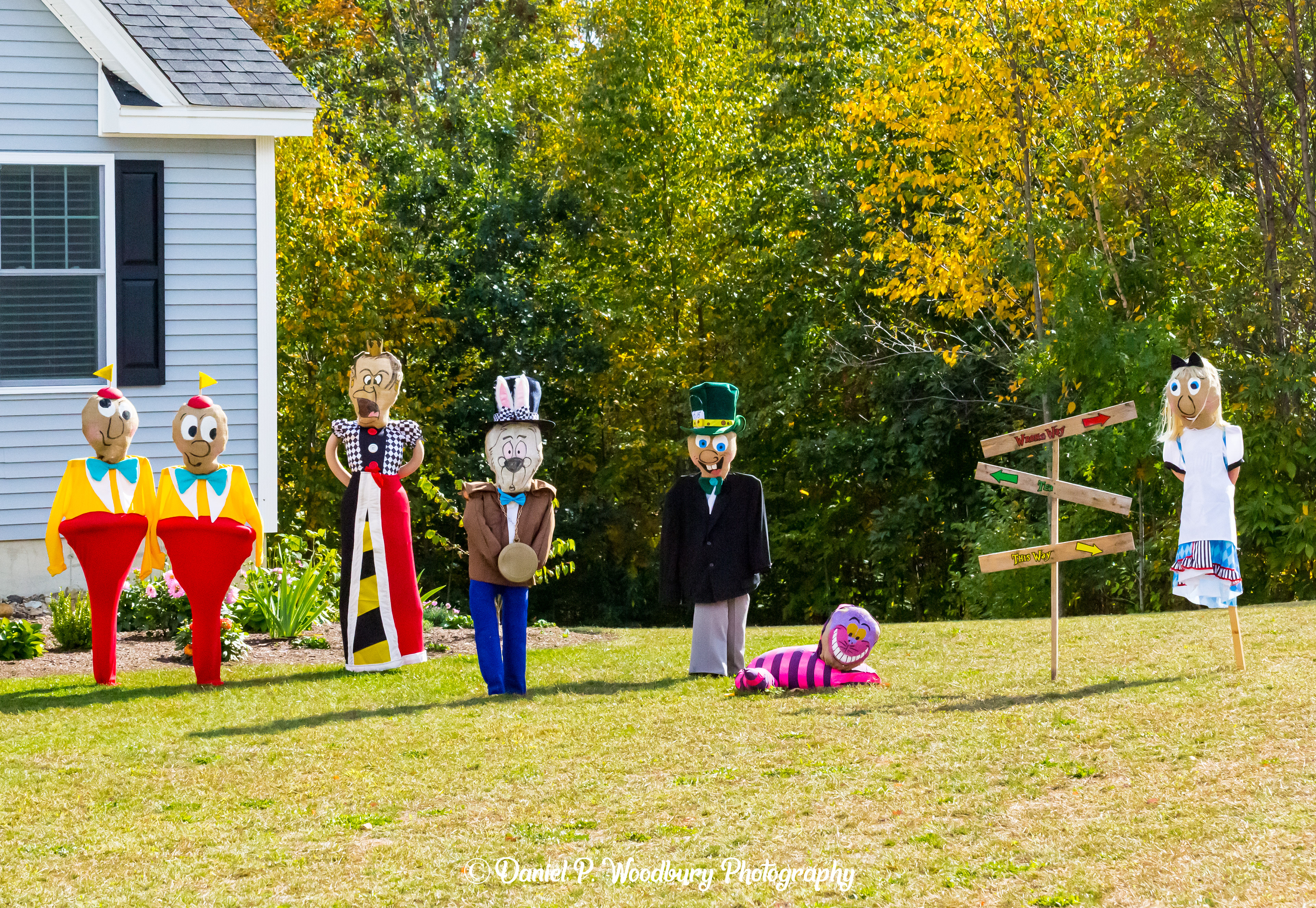 Alice In Wonderland Scarecrows