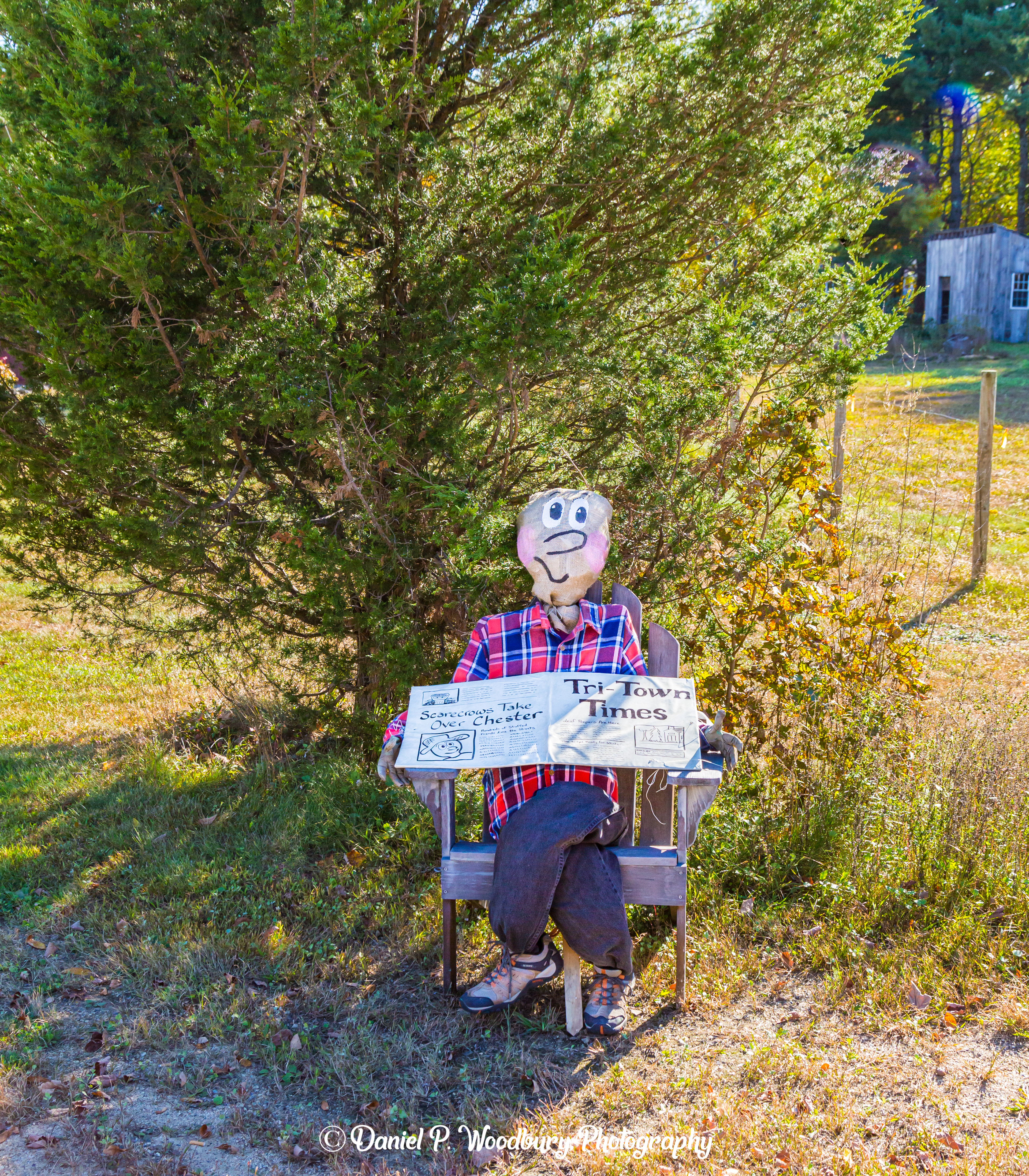 News Readin' Scarecrow