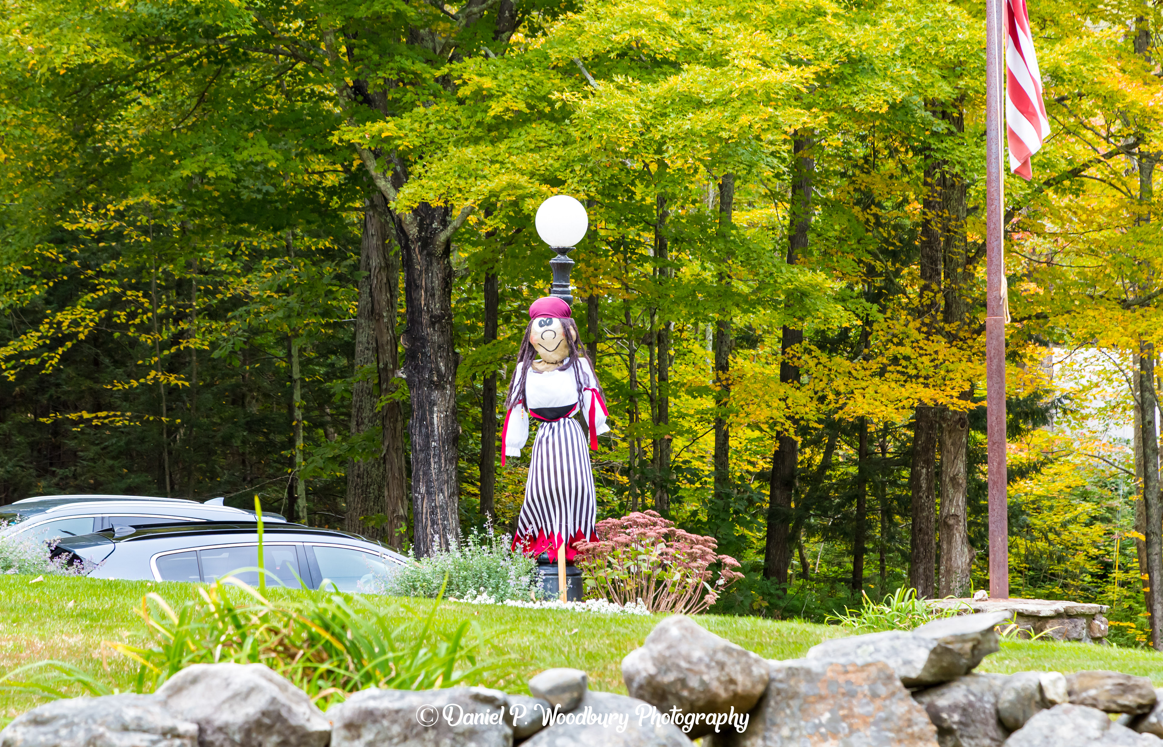 Gypsy Scarecrow