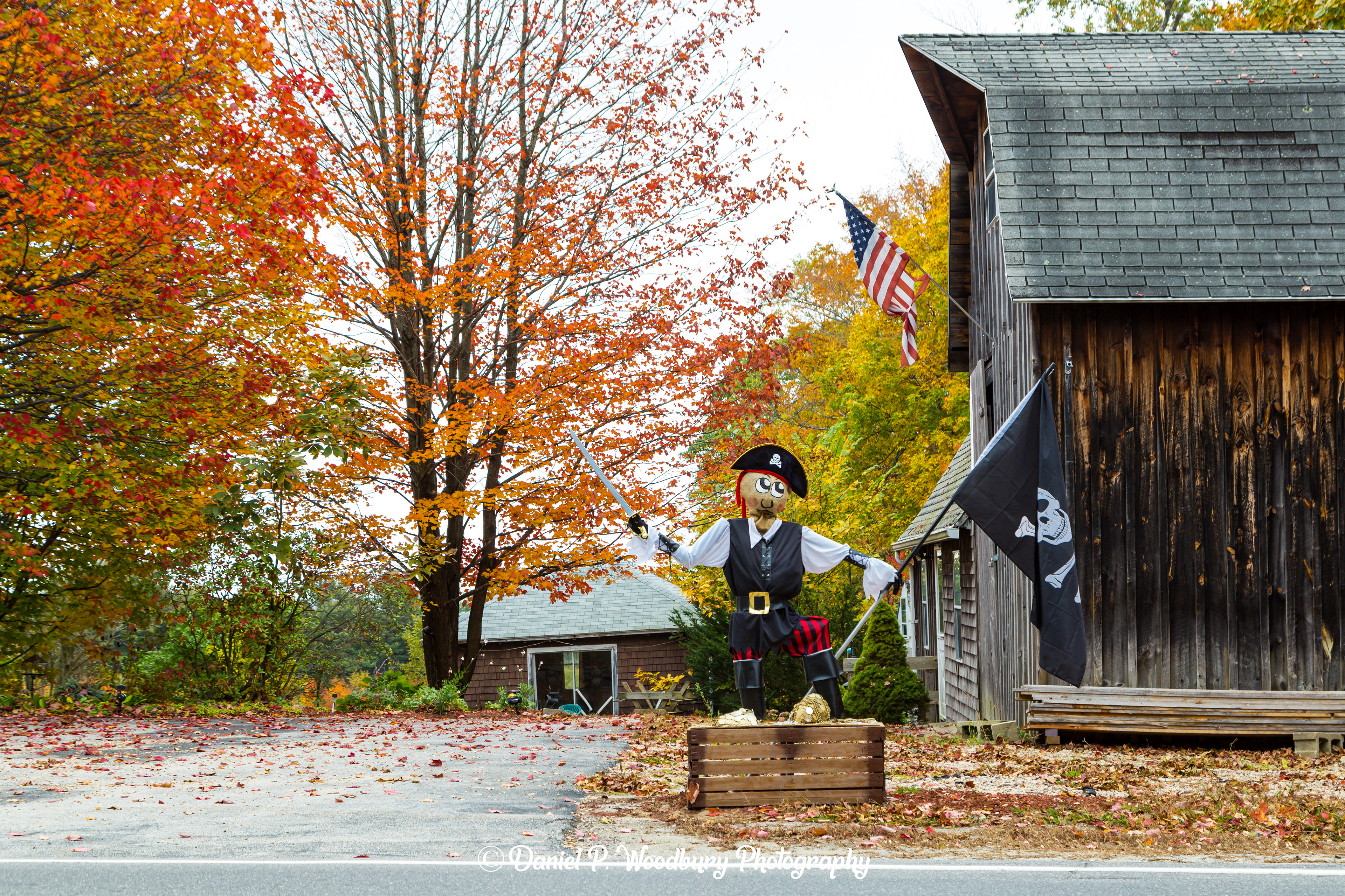 Pirate Scarecrow