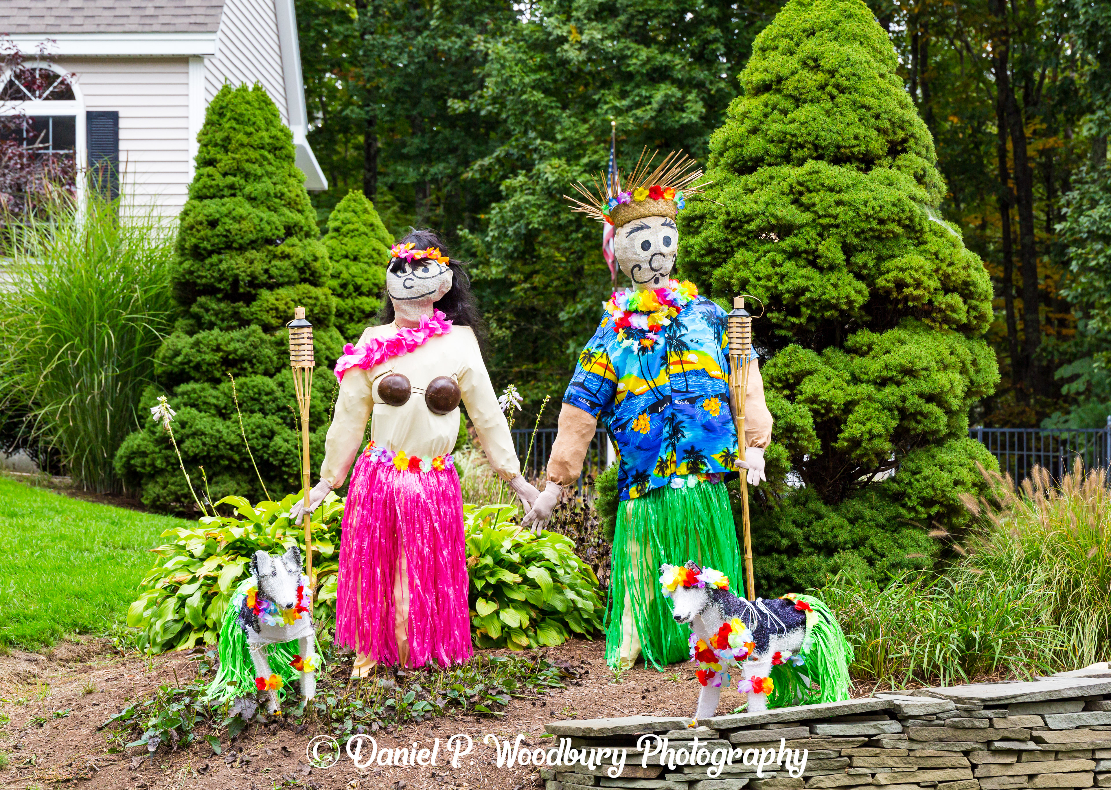 Hula Dancin' Scarecrow