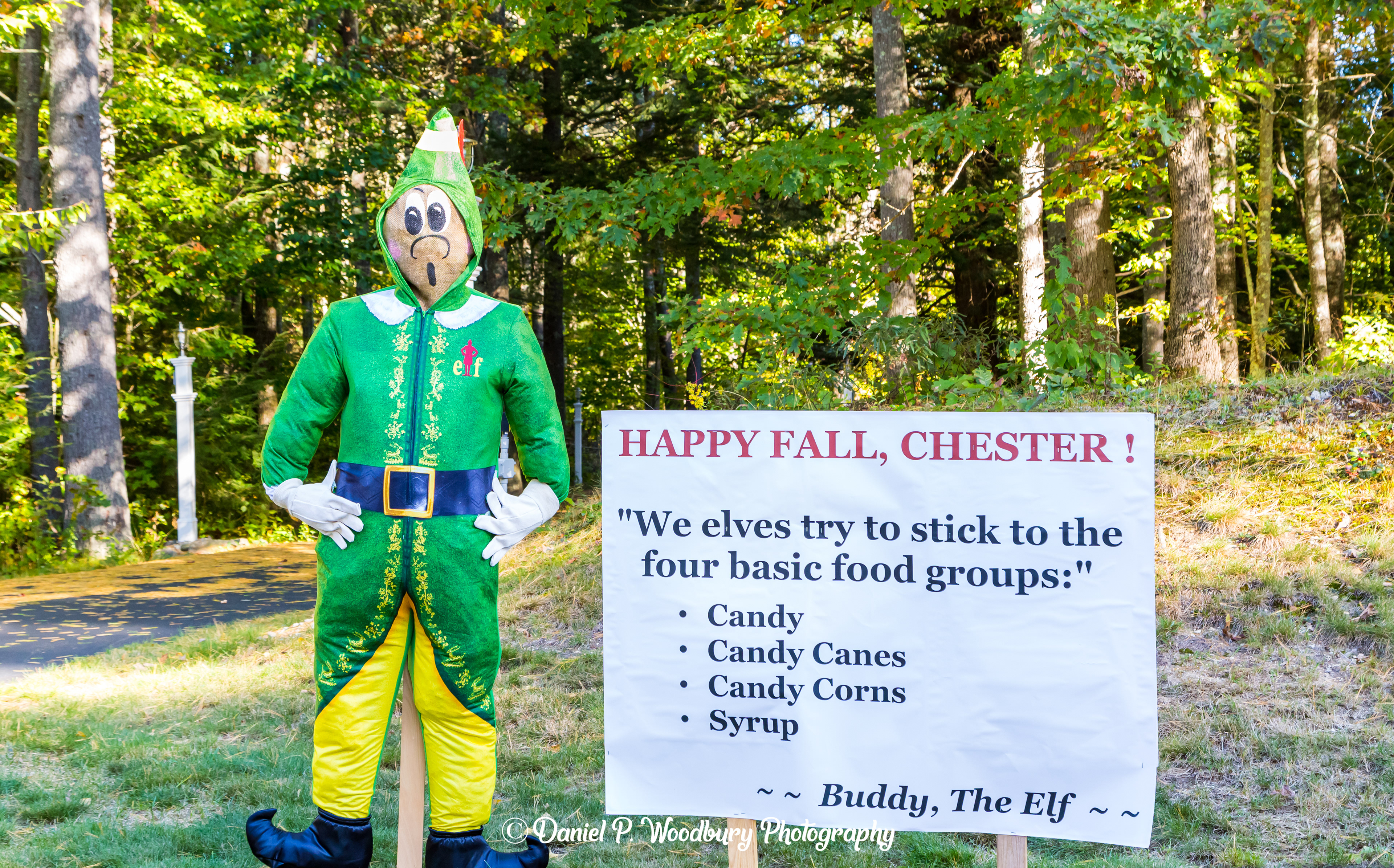 Buddy, The Elf Scarecrow