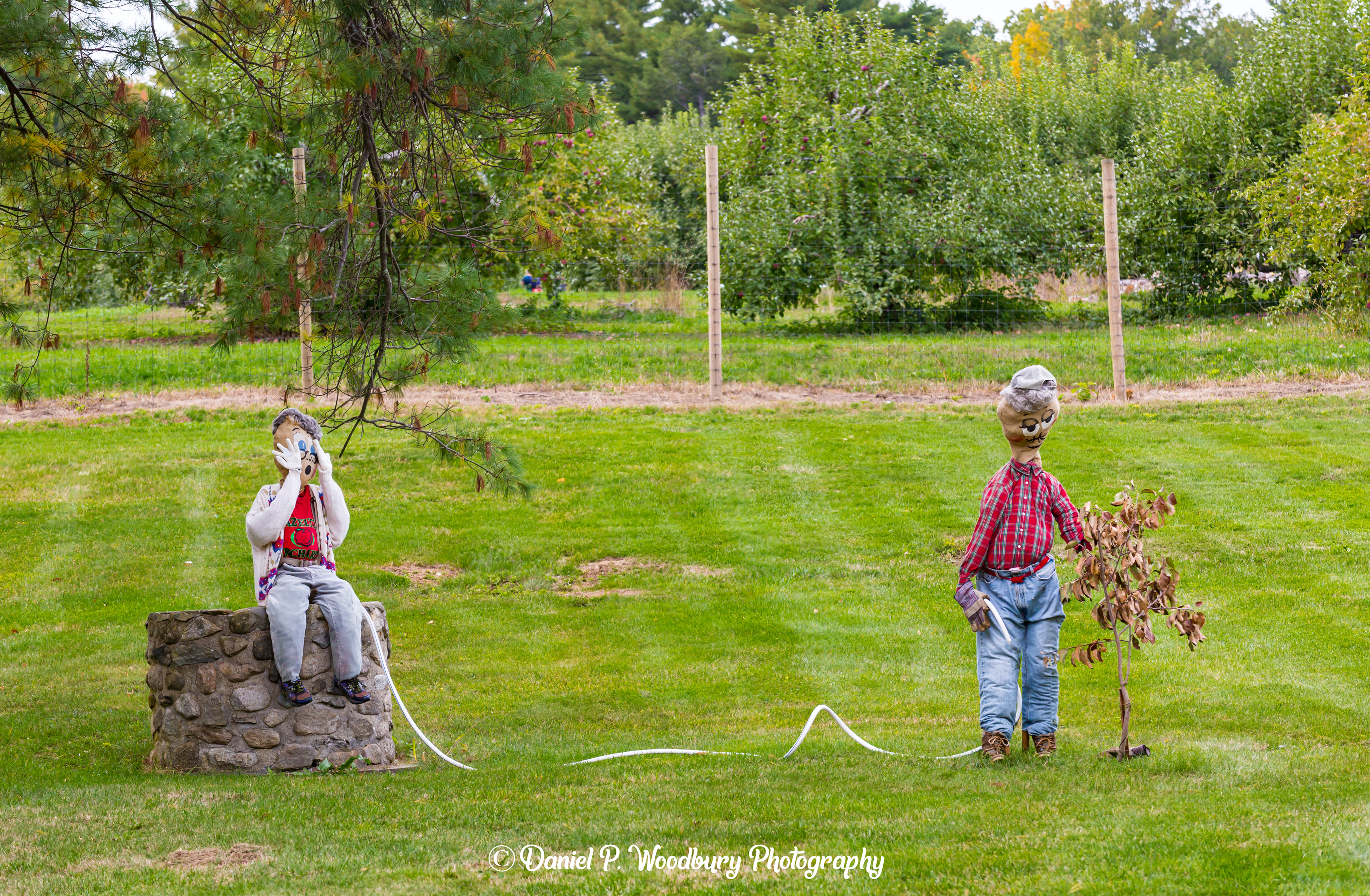 Gardenin' Scarecrows