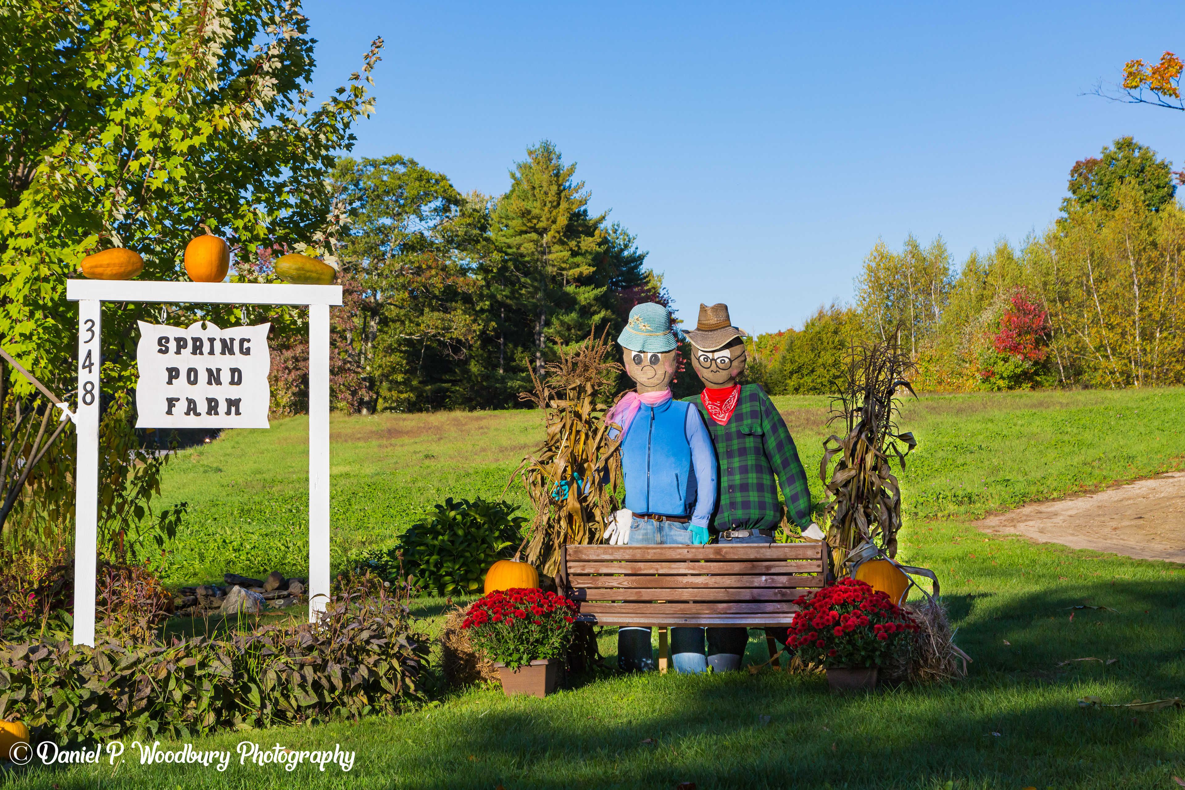 Farmer Scarecrows