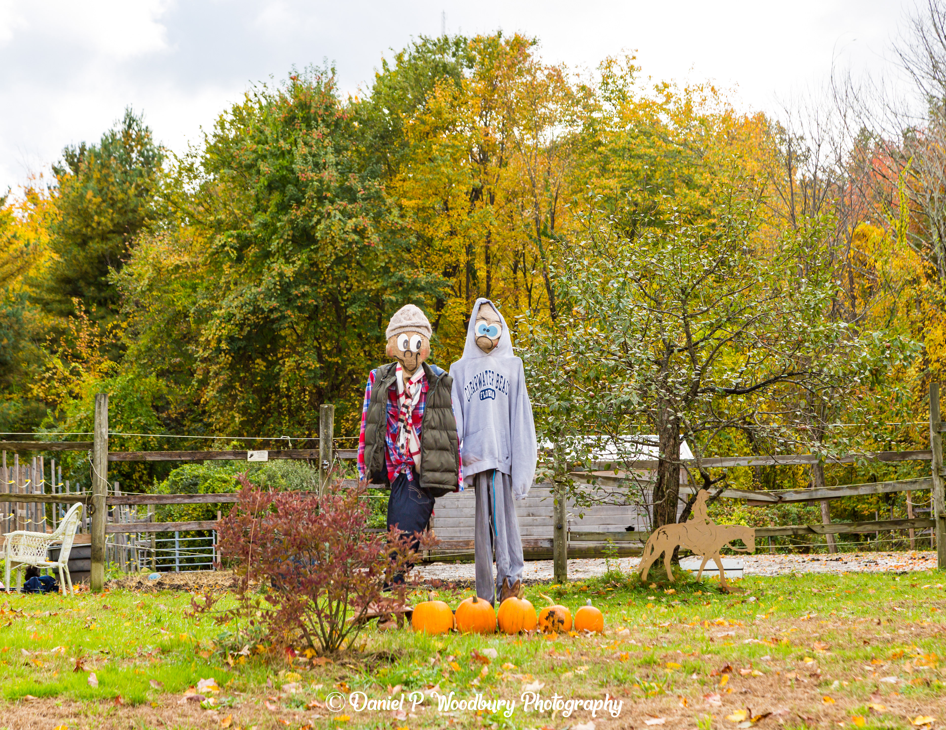 Us & Our Five Pumpkin Scarecrows