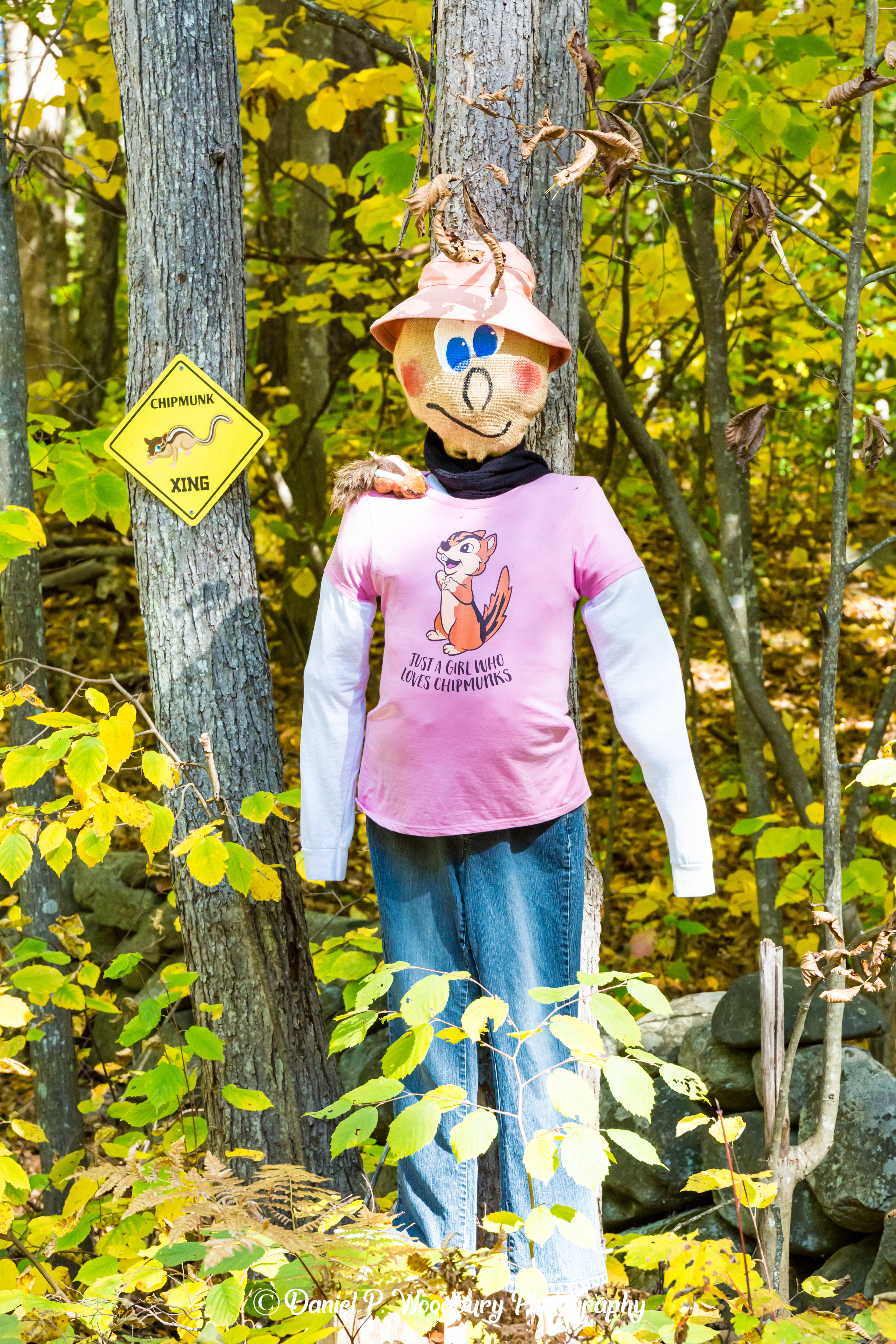Chipmunk Girl Scarecrow