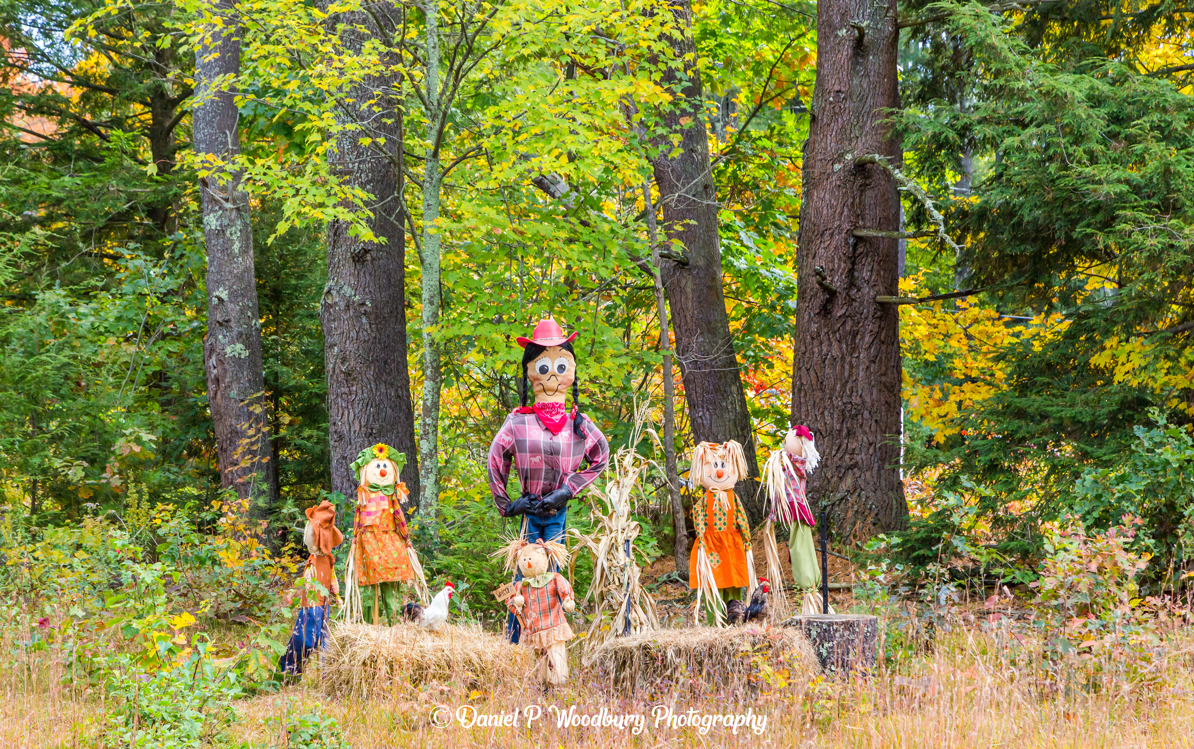 Cow Girl Scarecrow
