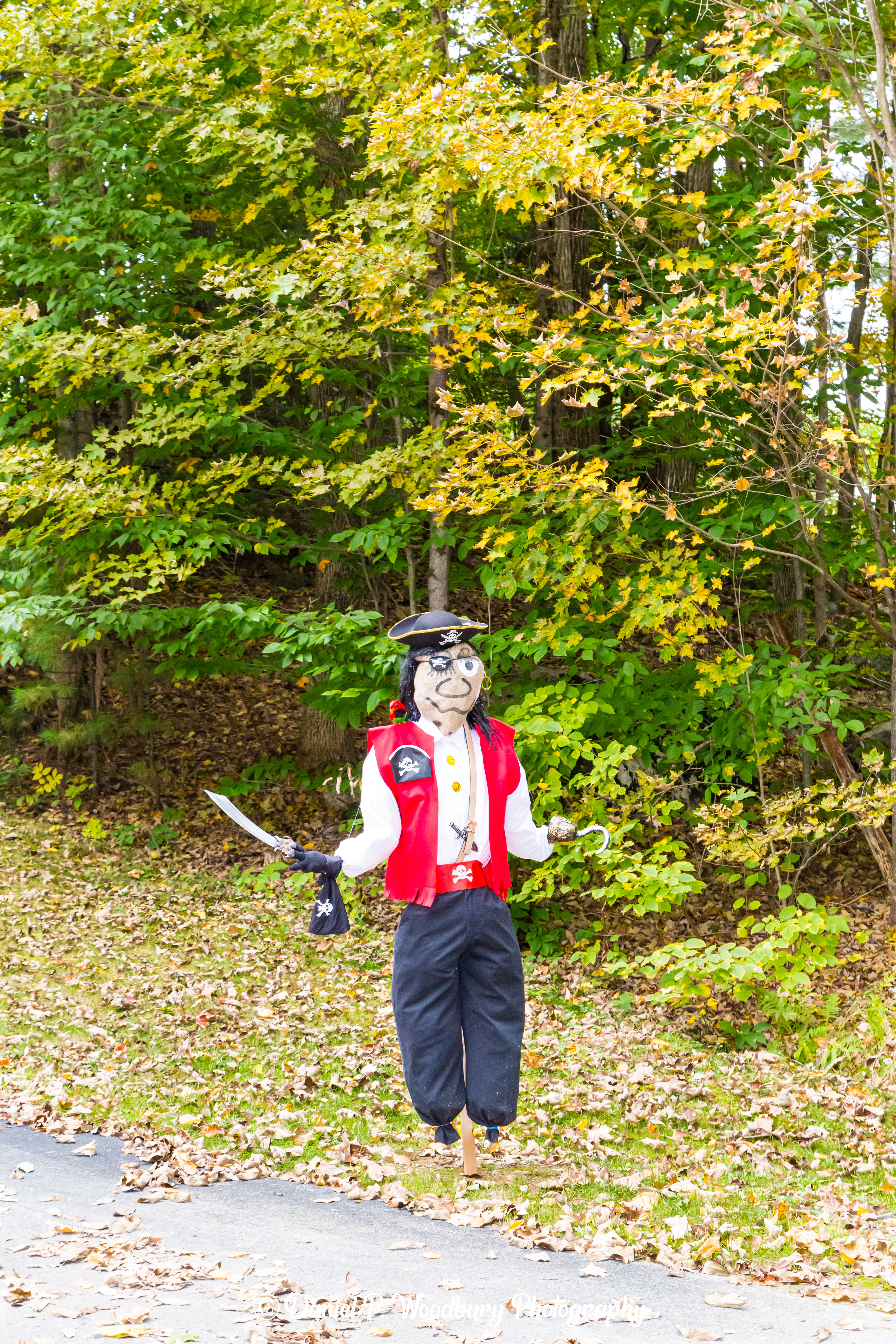 Pirate Scarecrow