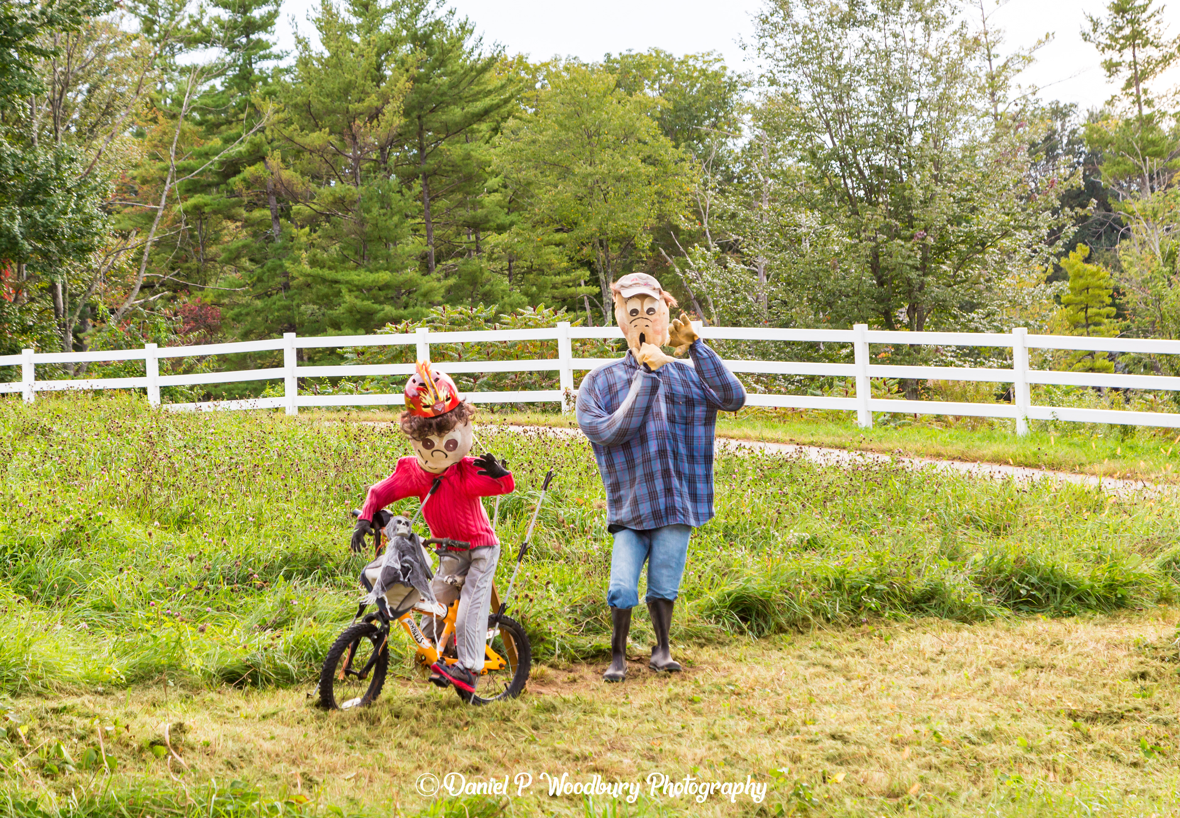 "Look, Ma! No Hands"! Scarecrows