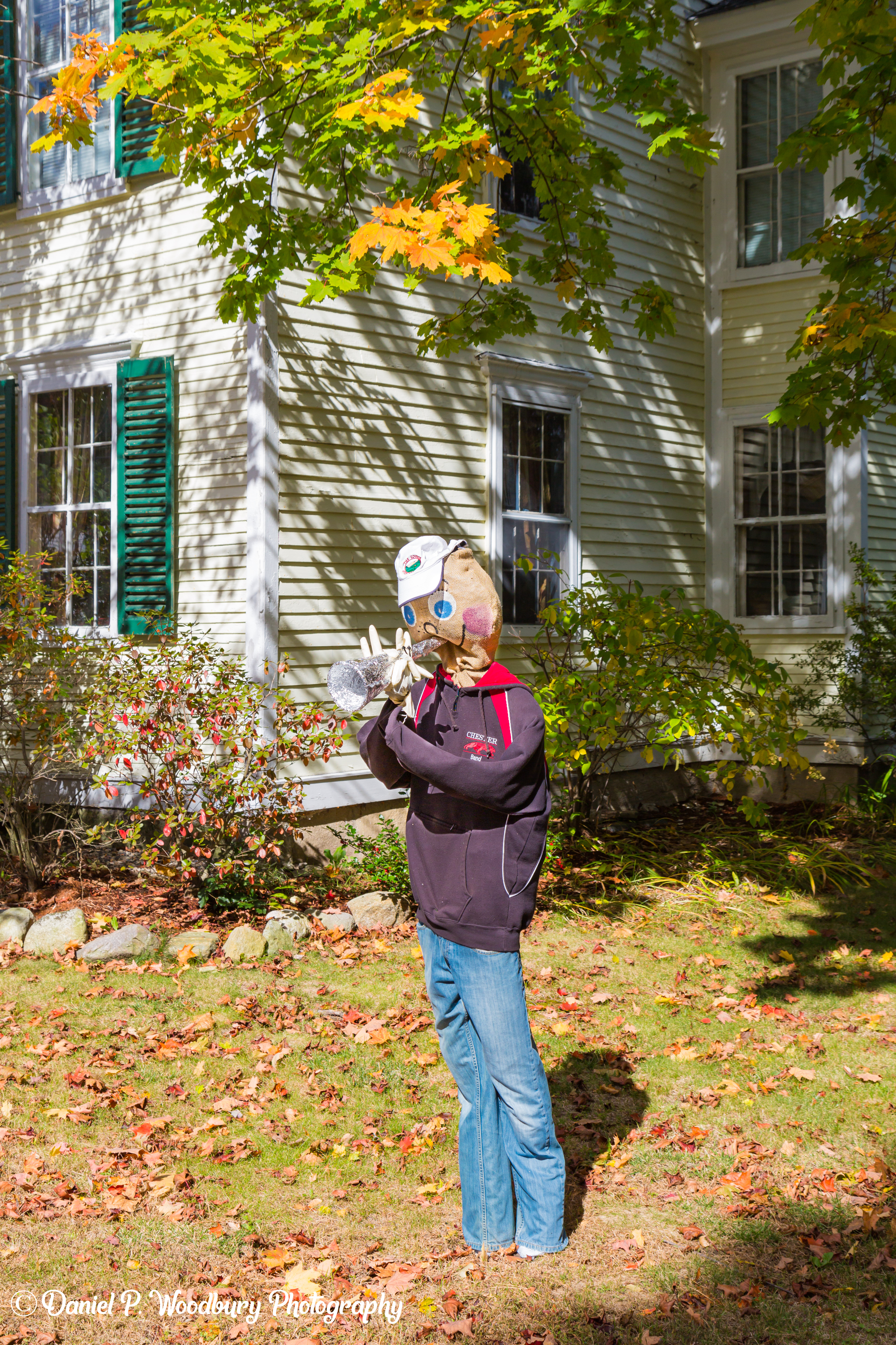 Trumpet Playin' Scarecrow