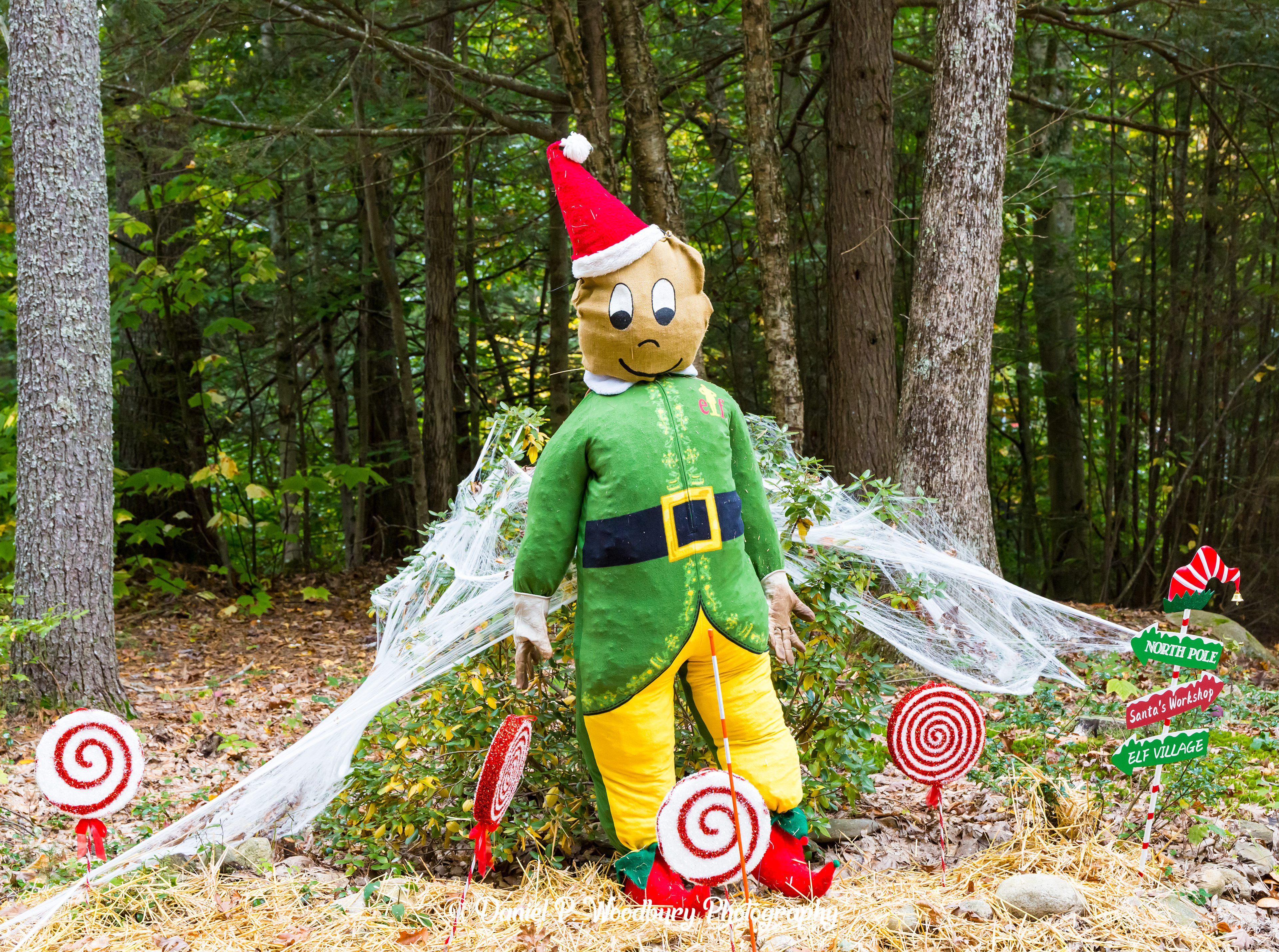Buddy, The Elf Scarecrow