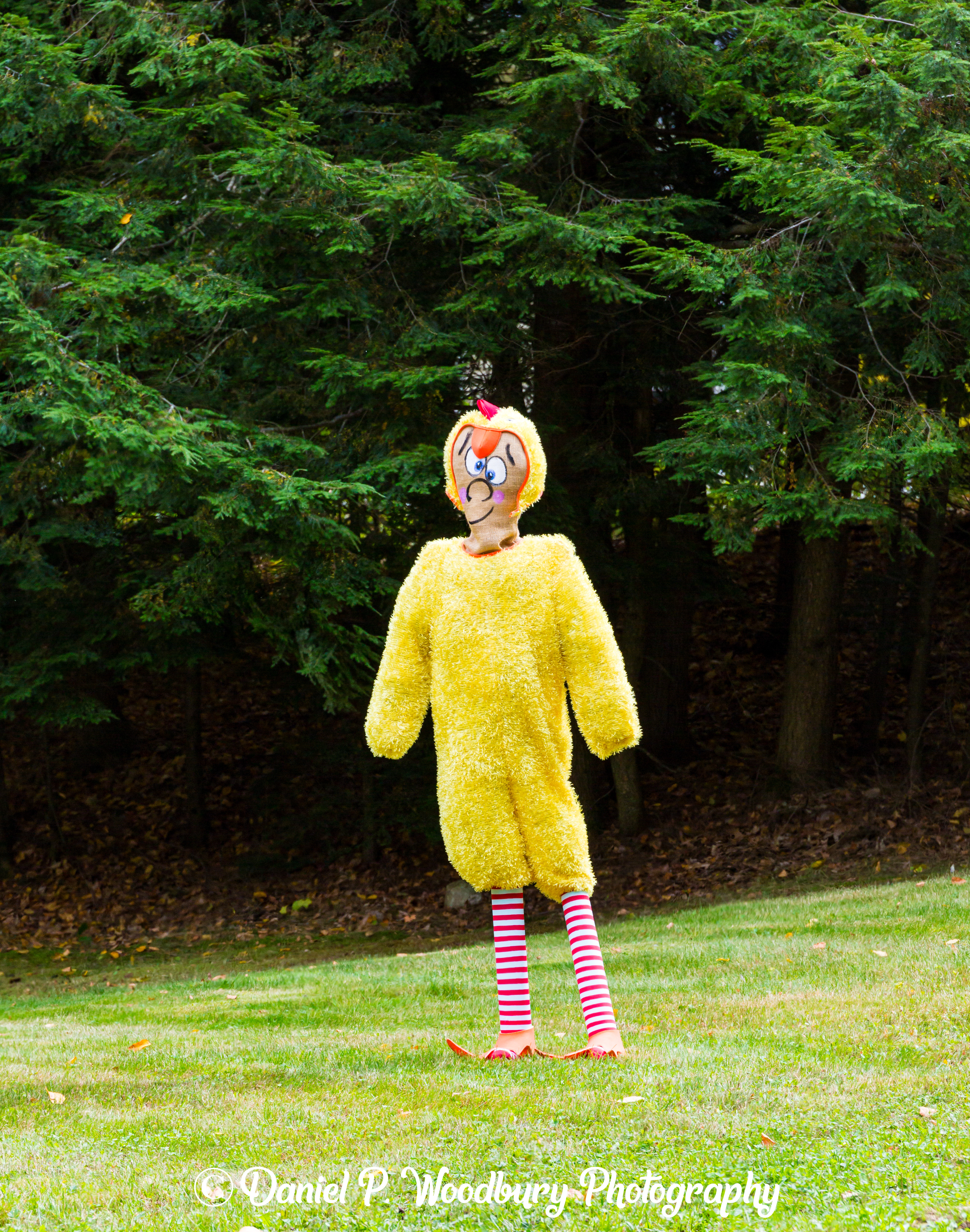 Big Bird Scarecrow