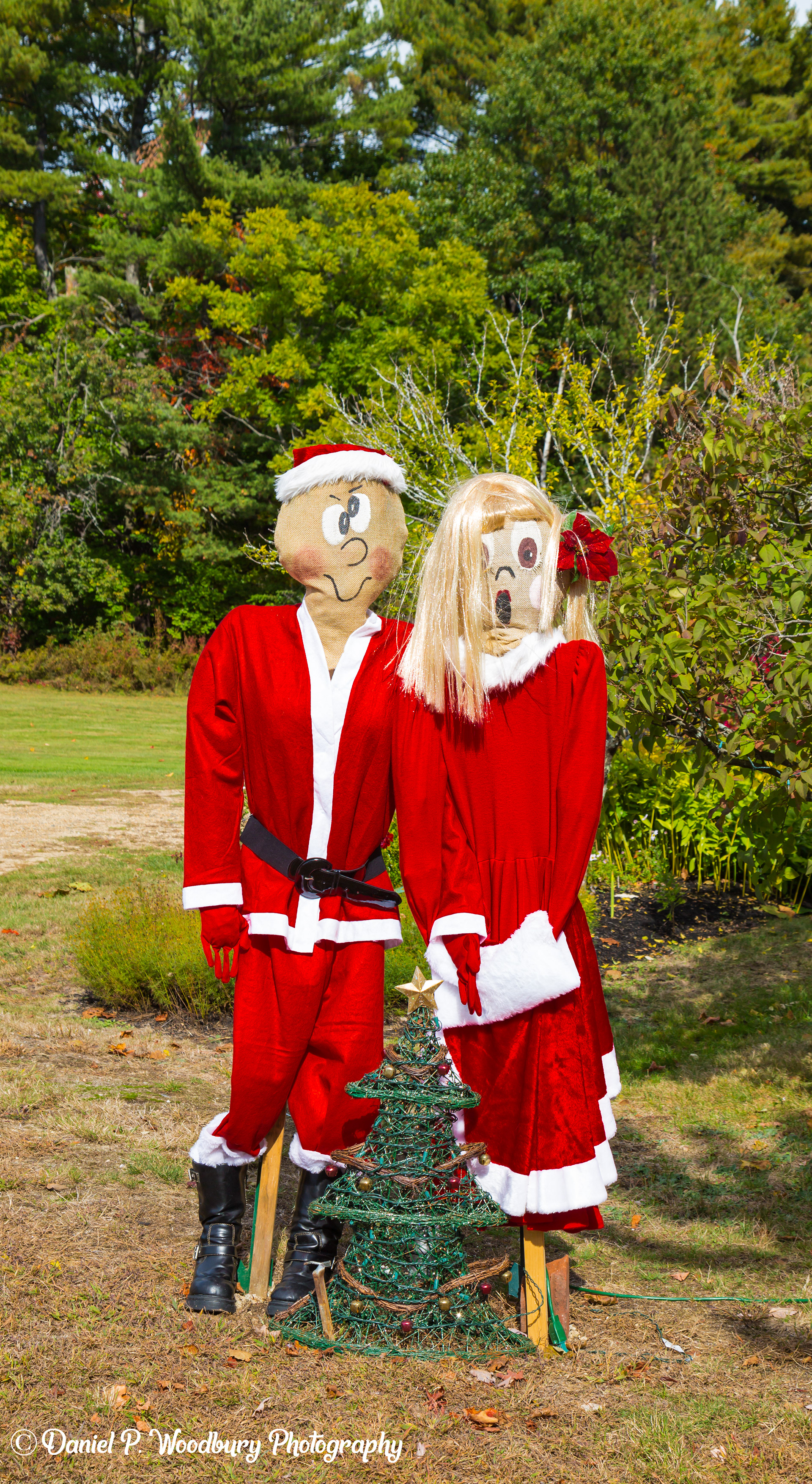 The Claus Scarecrows