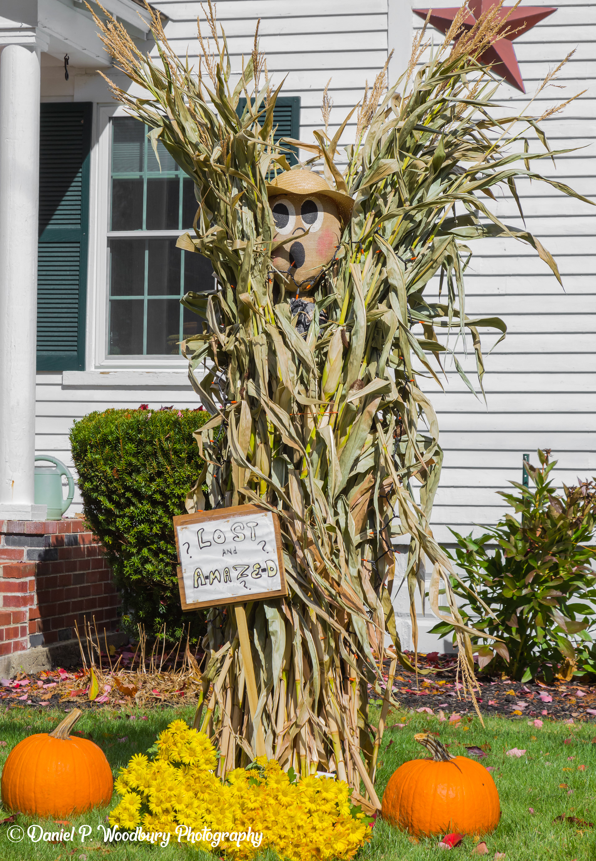 Corn Mazin Scarecrow