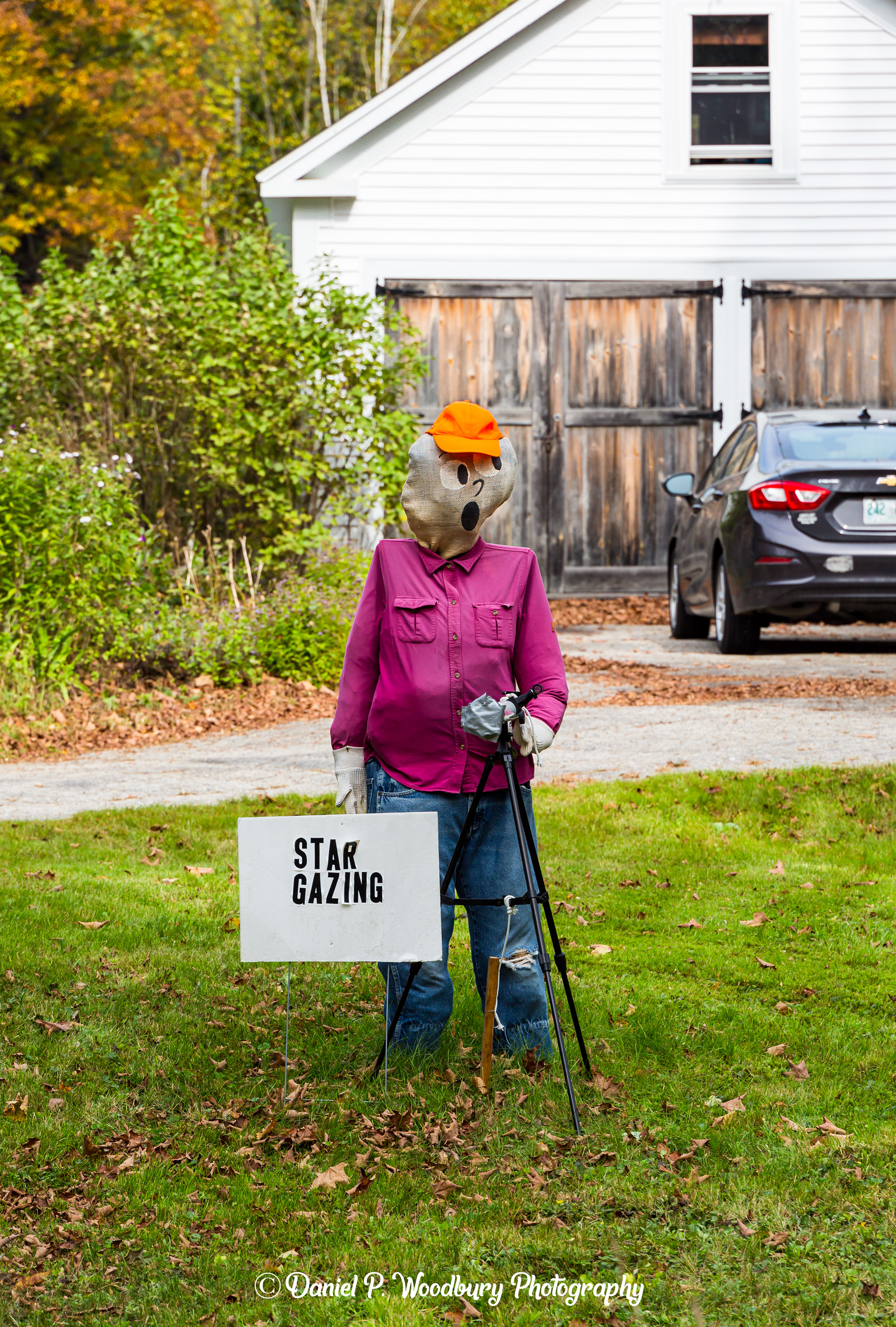 Star Gazin' Scarecrow