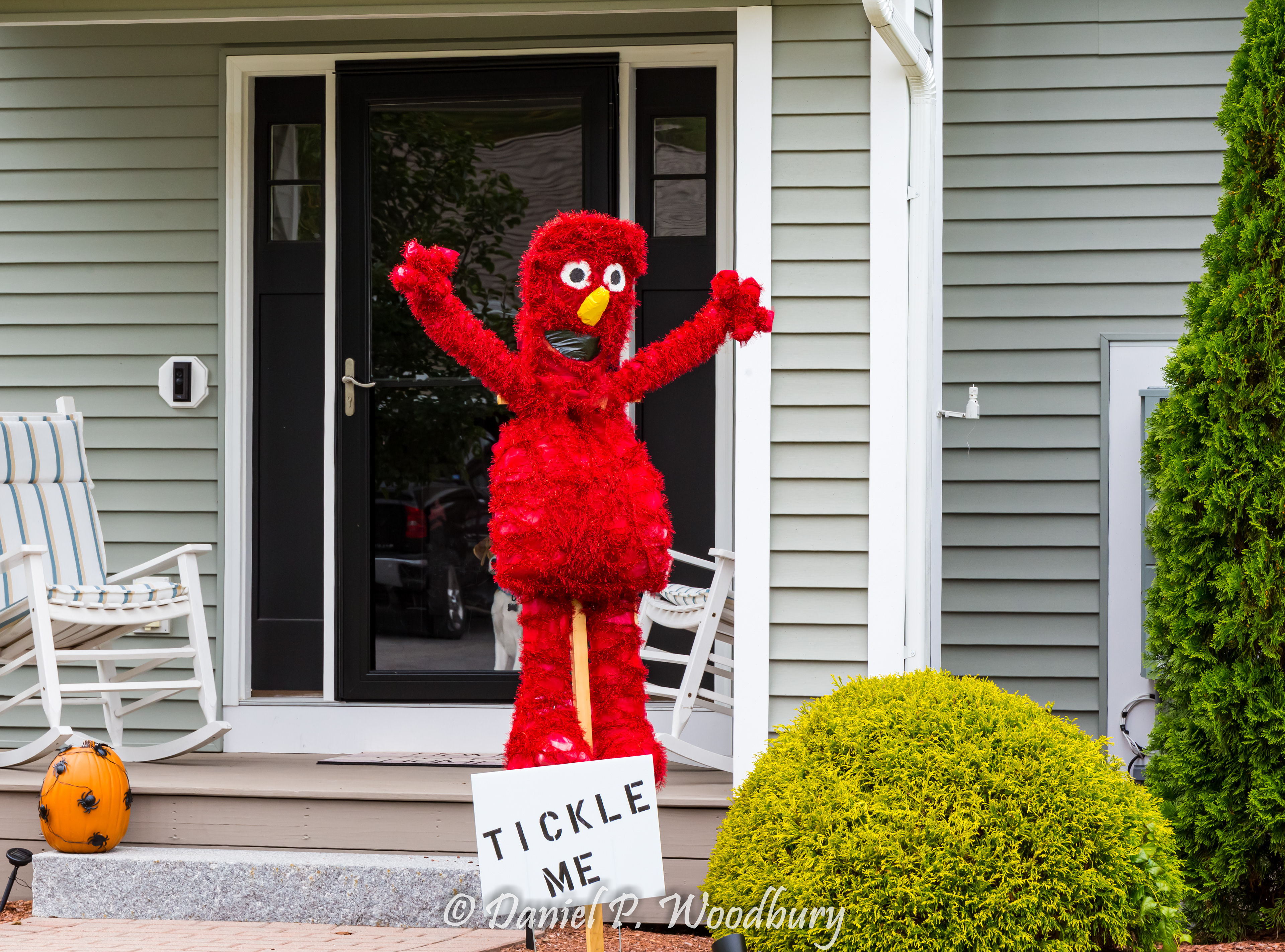 Elmo Scarecrow