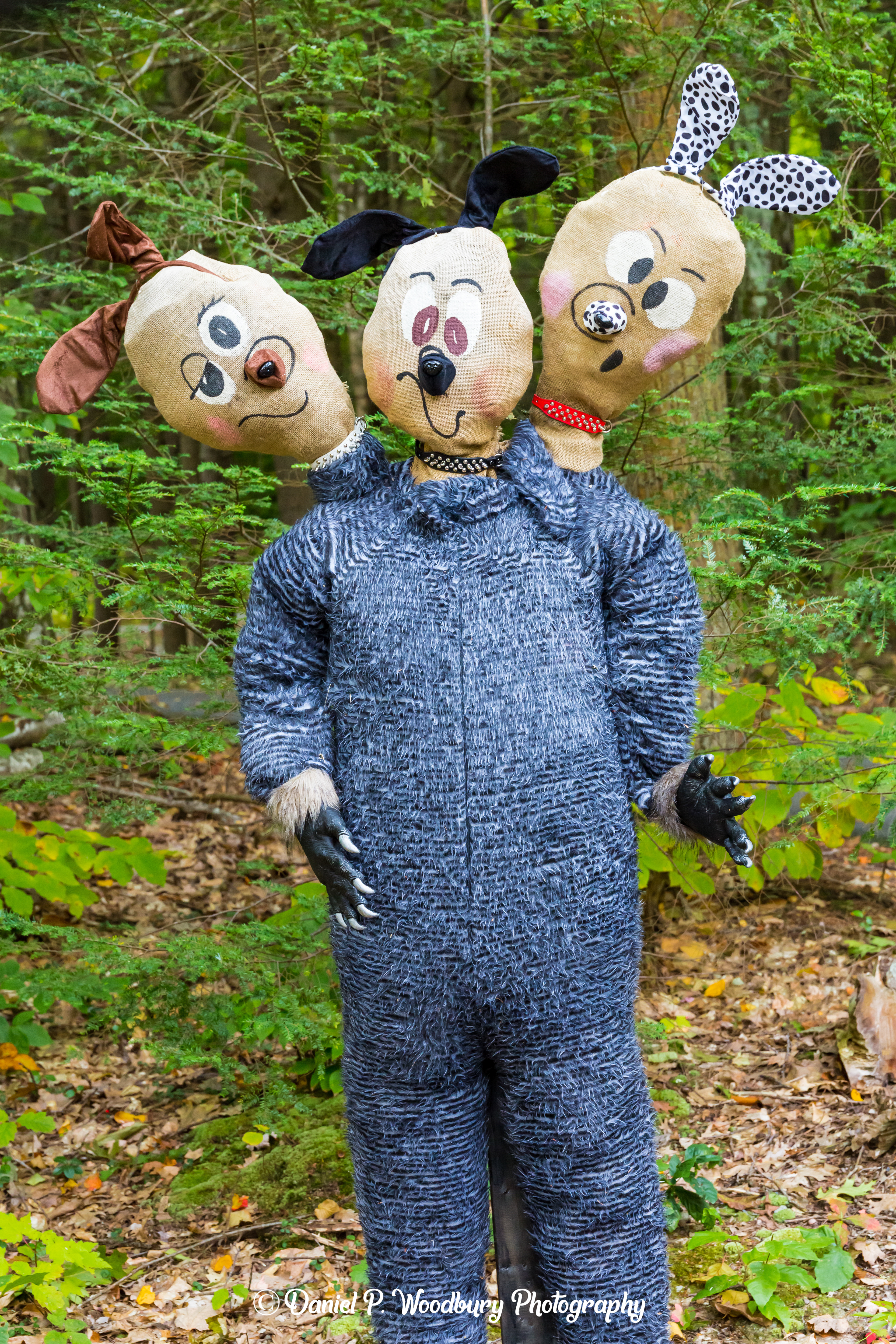 Cerberus Scarecrows