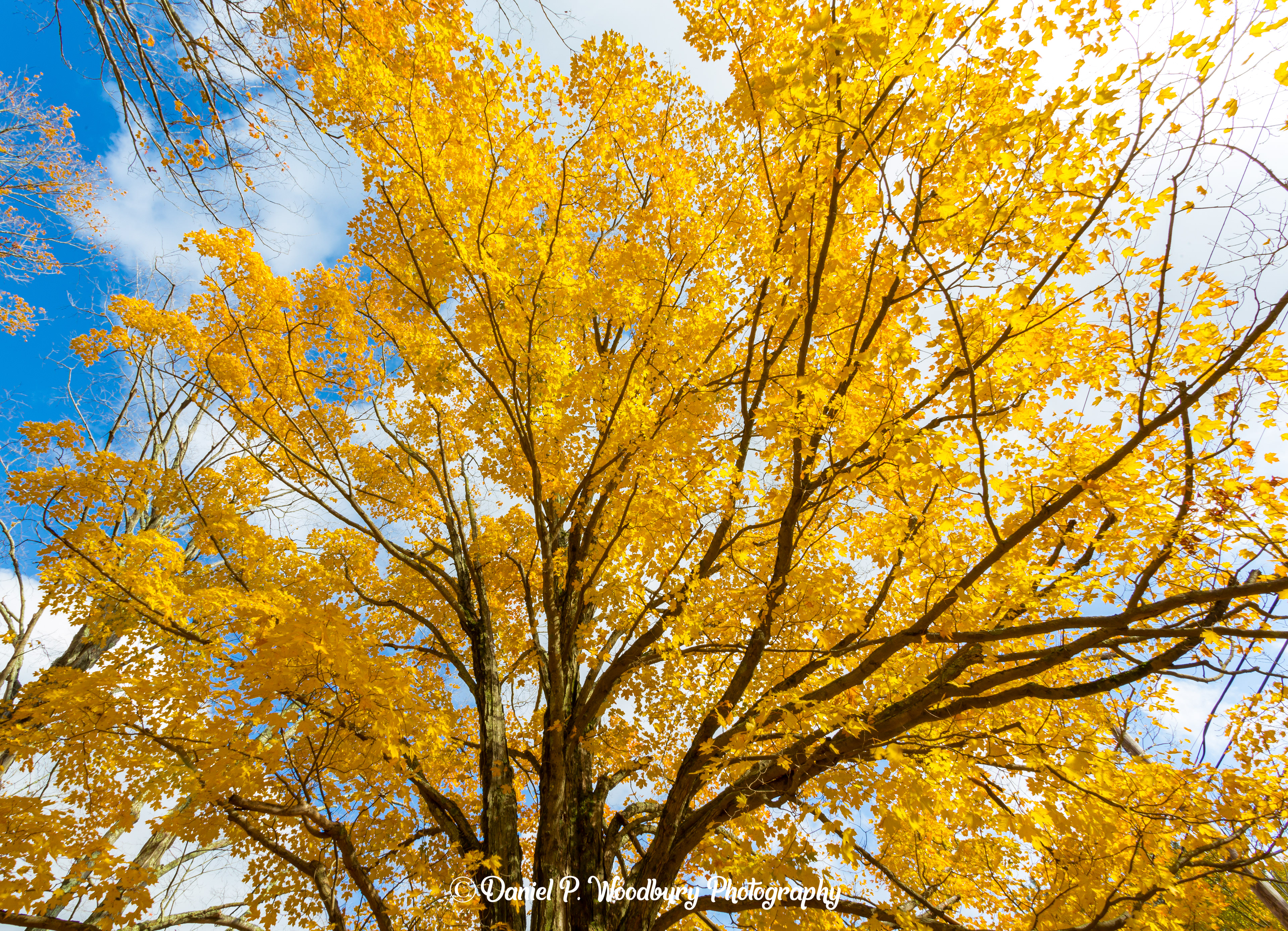 Autumn At Highland Cemetery-Newton, NH