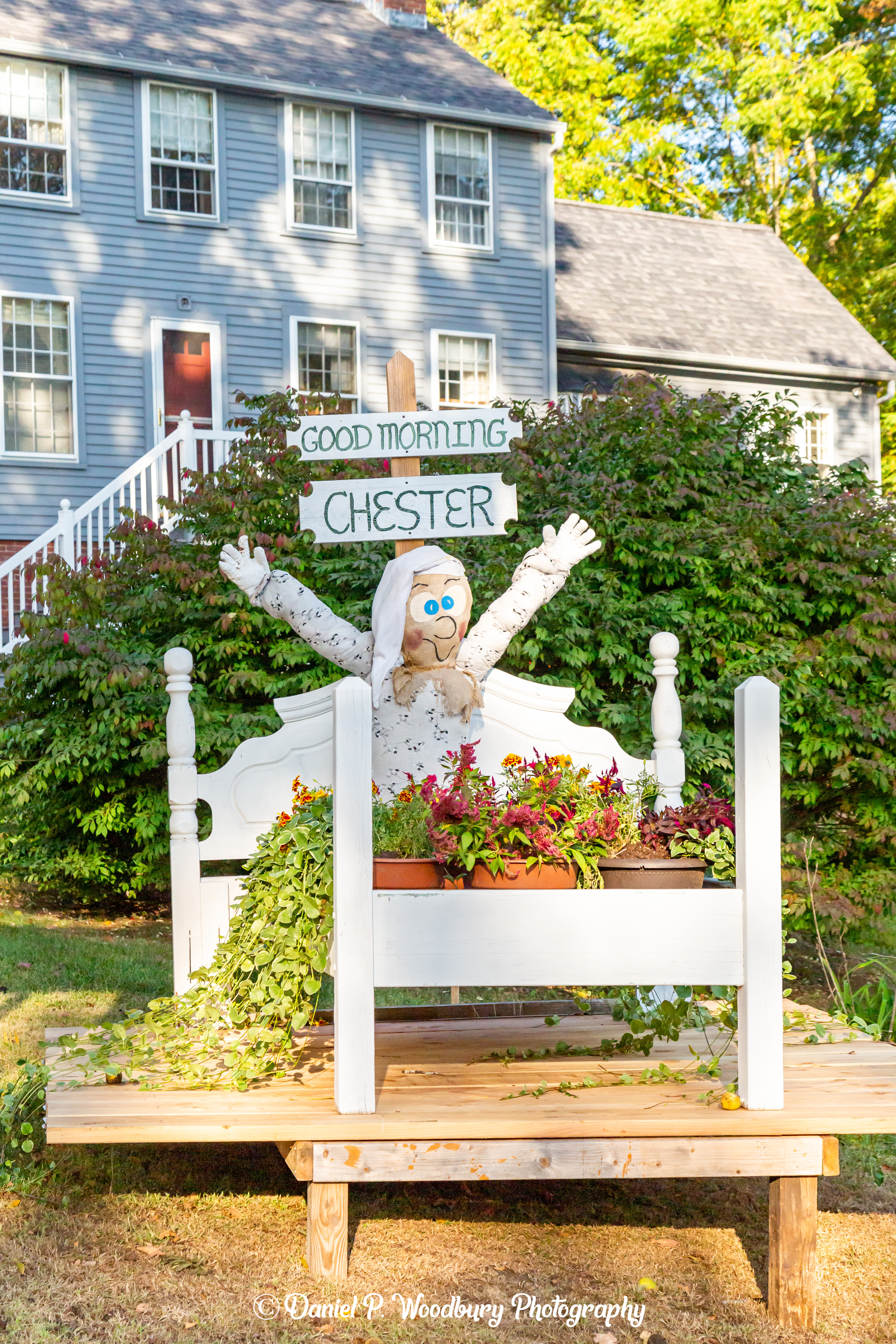 Morning Greetin' Scarecrow