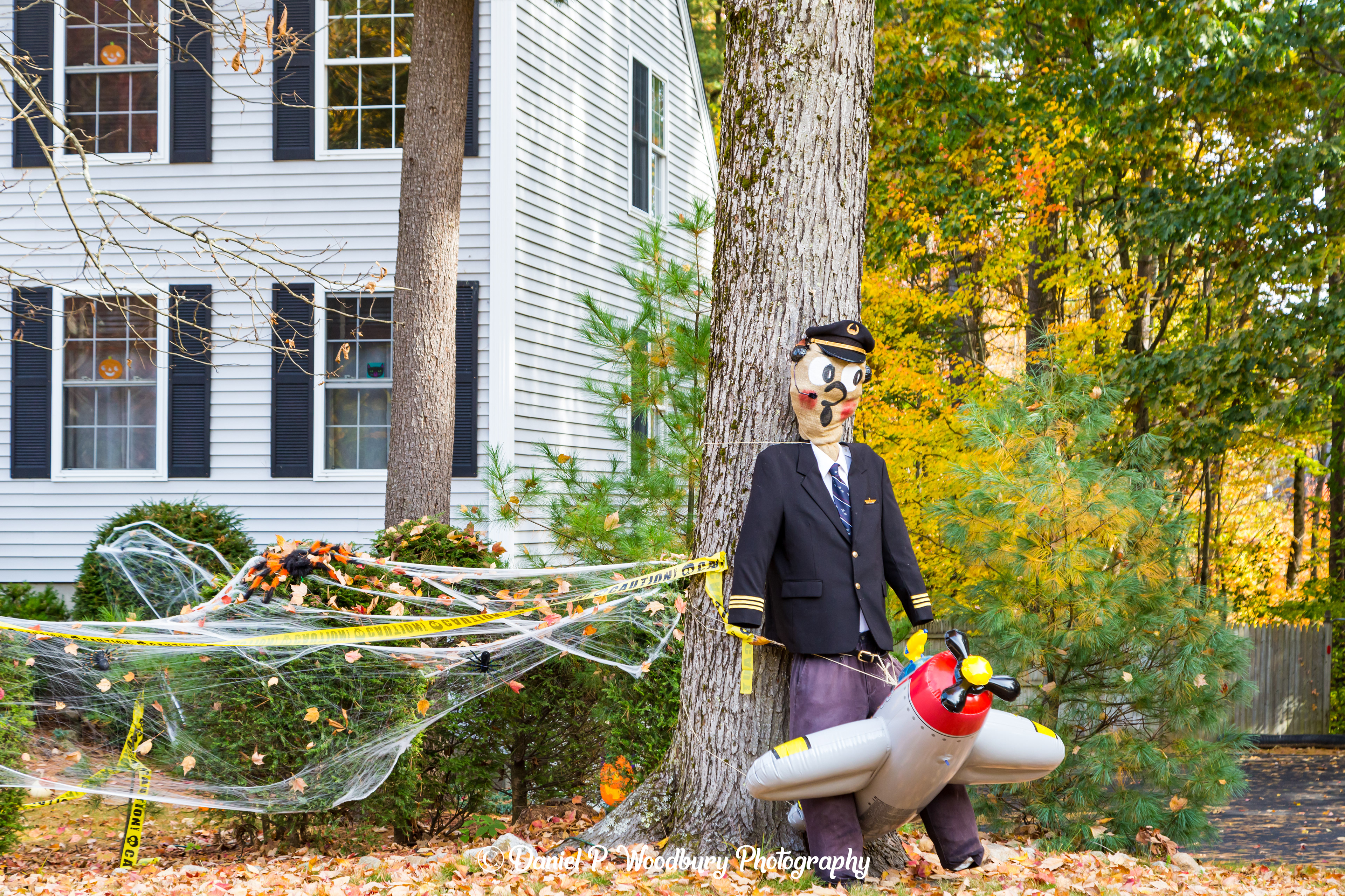 Pilot Scarecrow