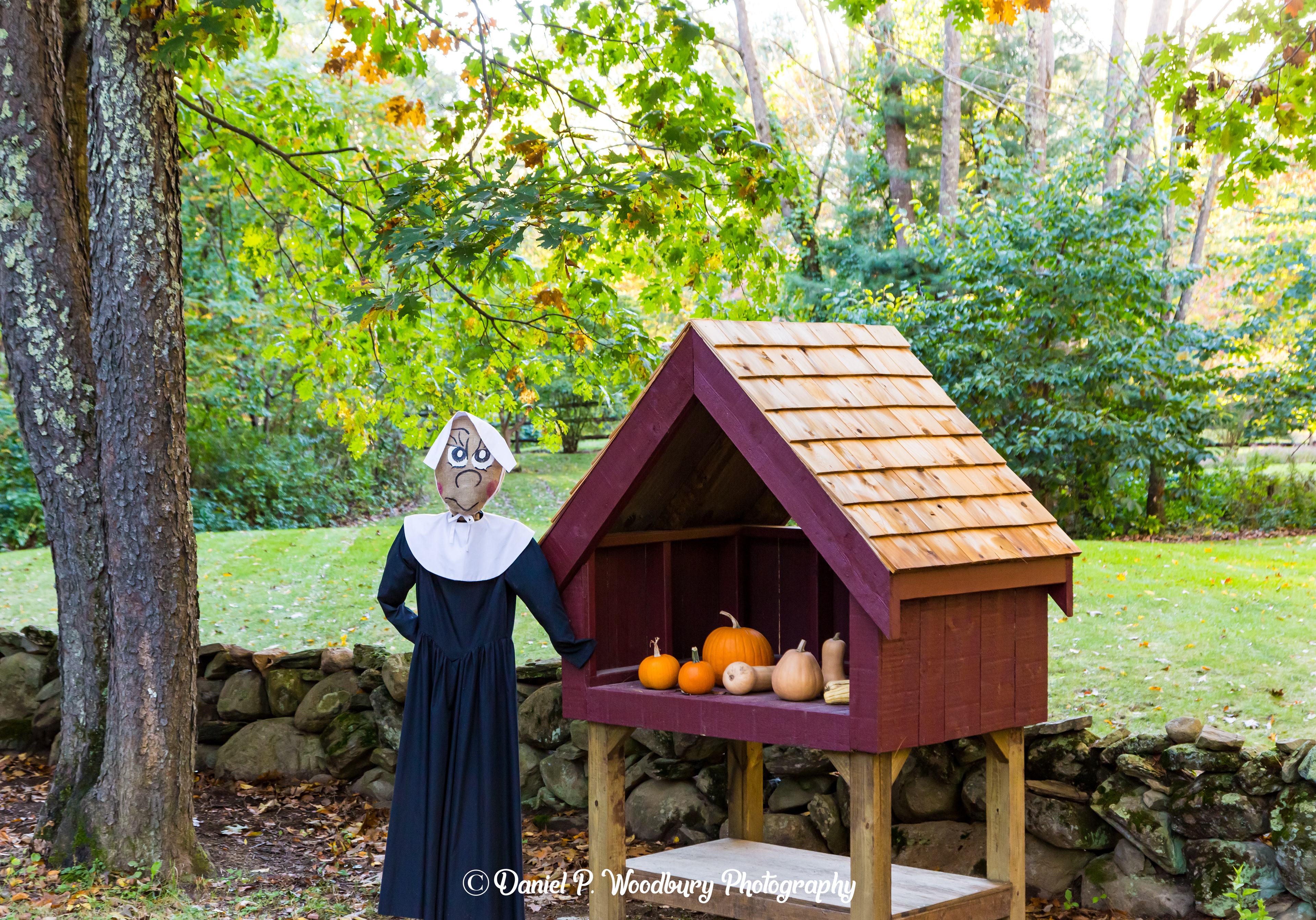Amish Scarecrow