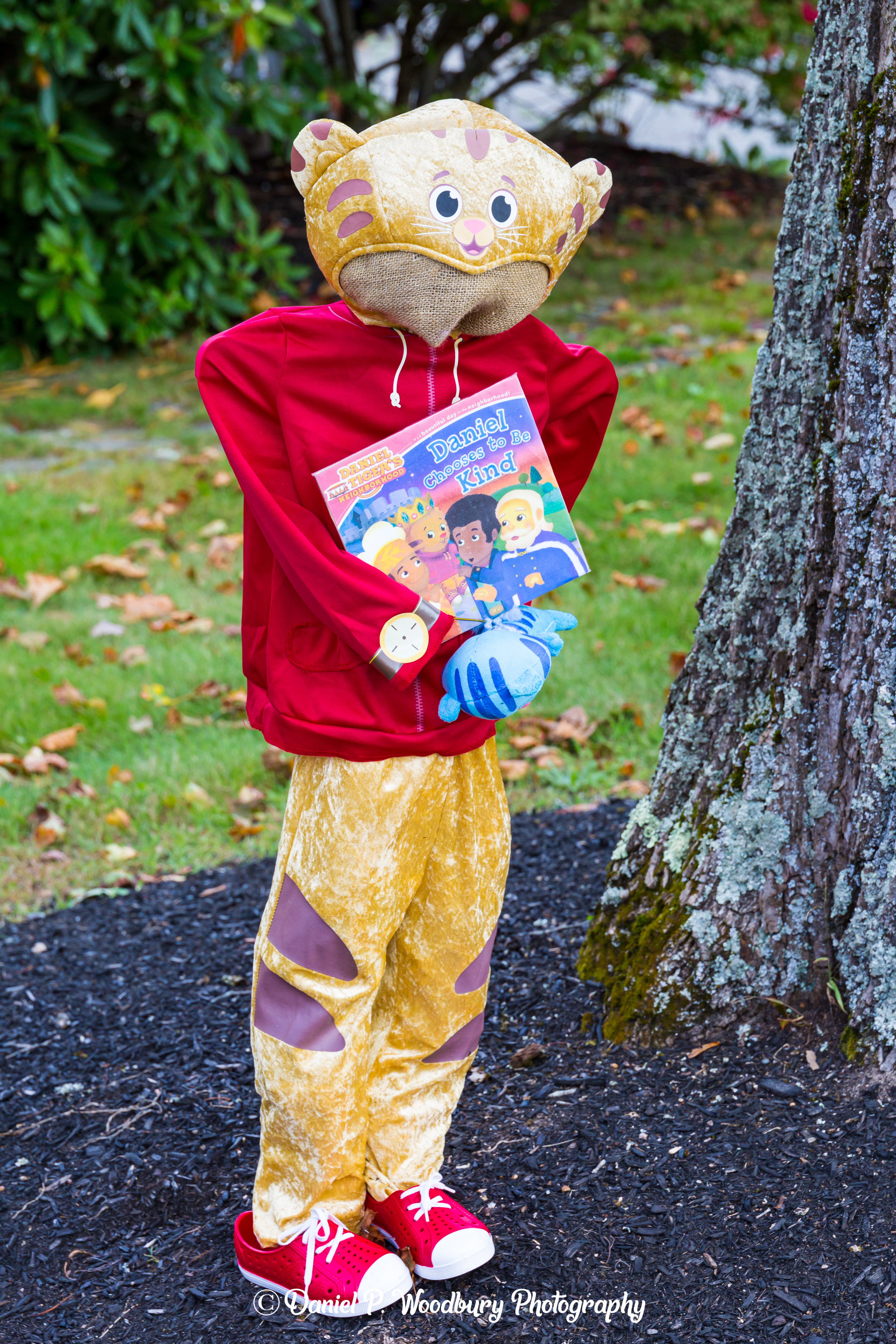 Daniel Tiger Scarecrow