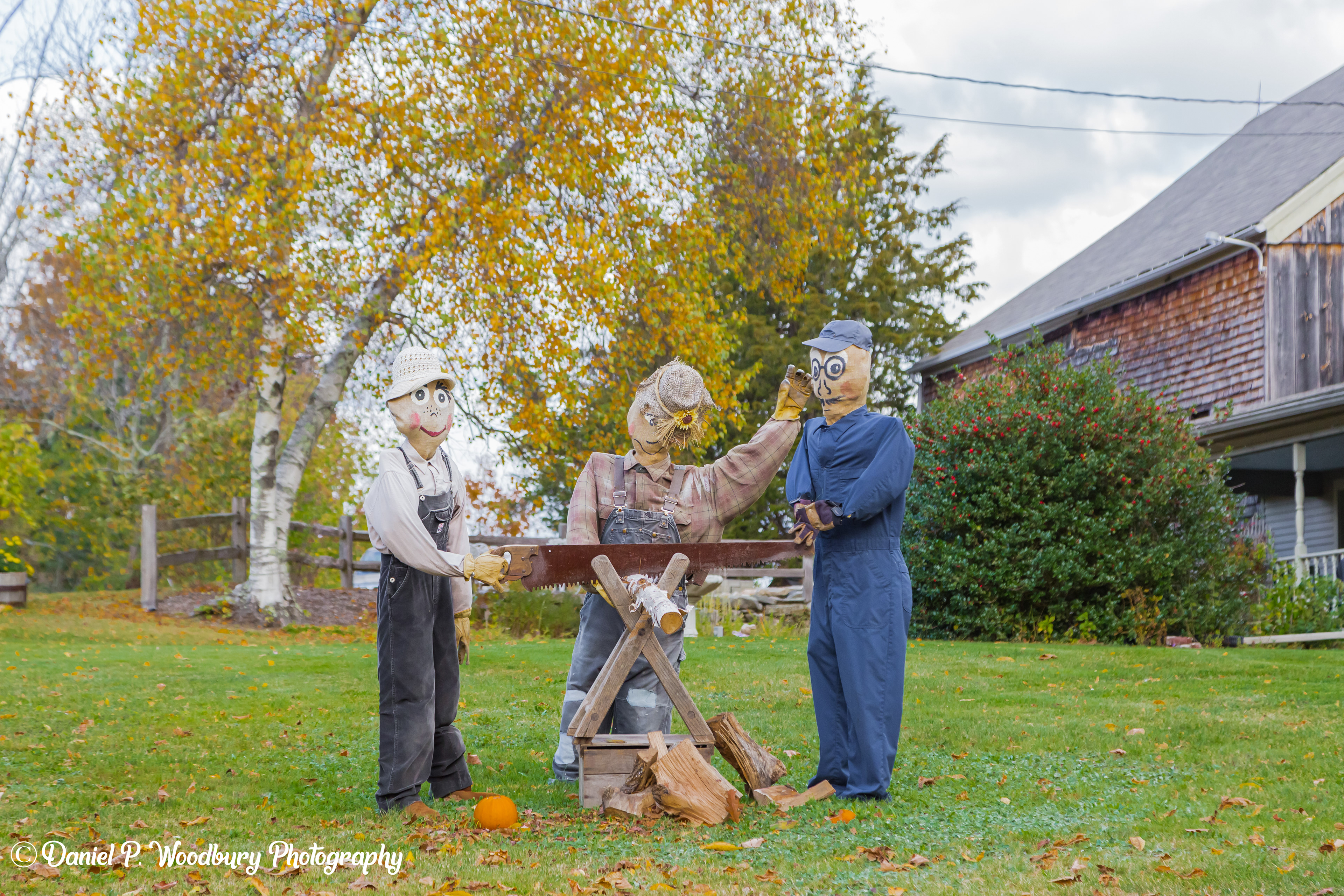Sawin' Scarecrows