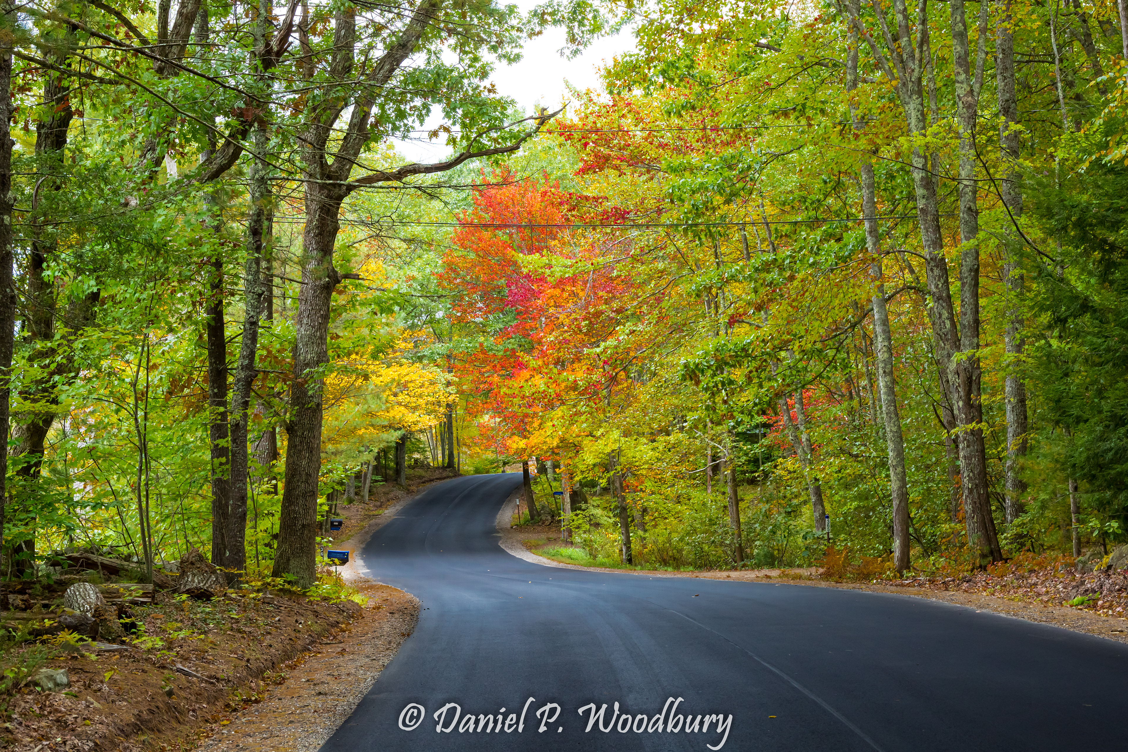 Autumn Country Road